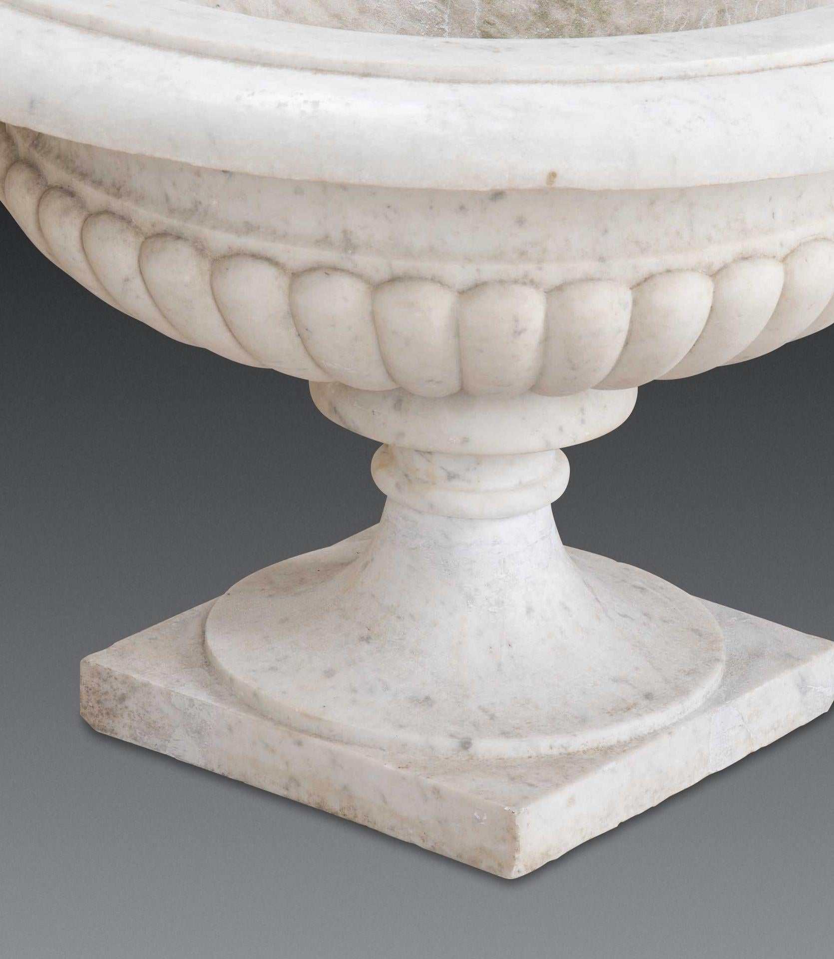 Pair of 19th Century Italian Marble Tazza Urns im Angebot 9