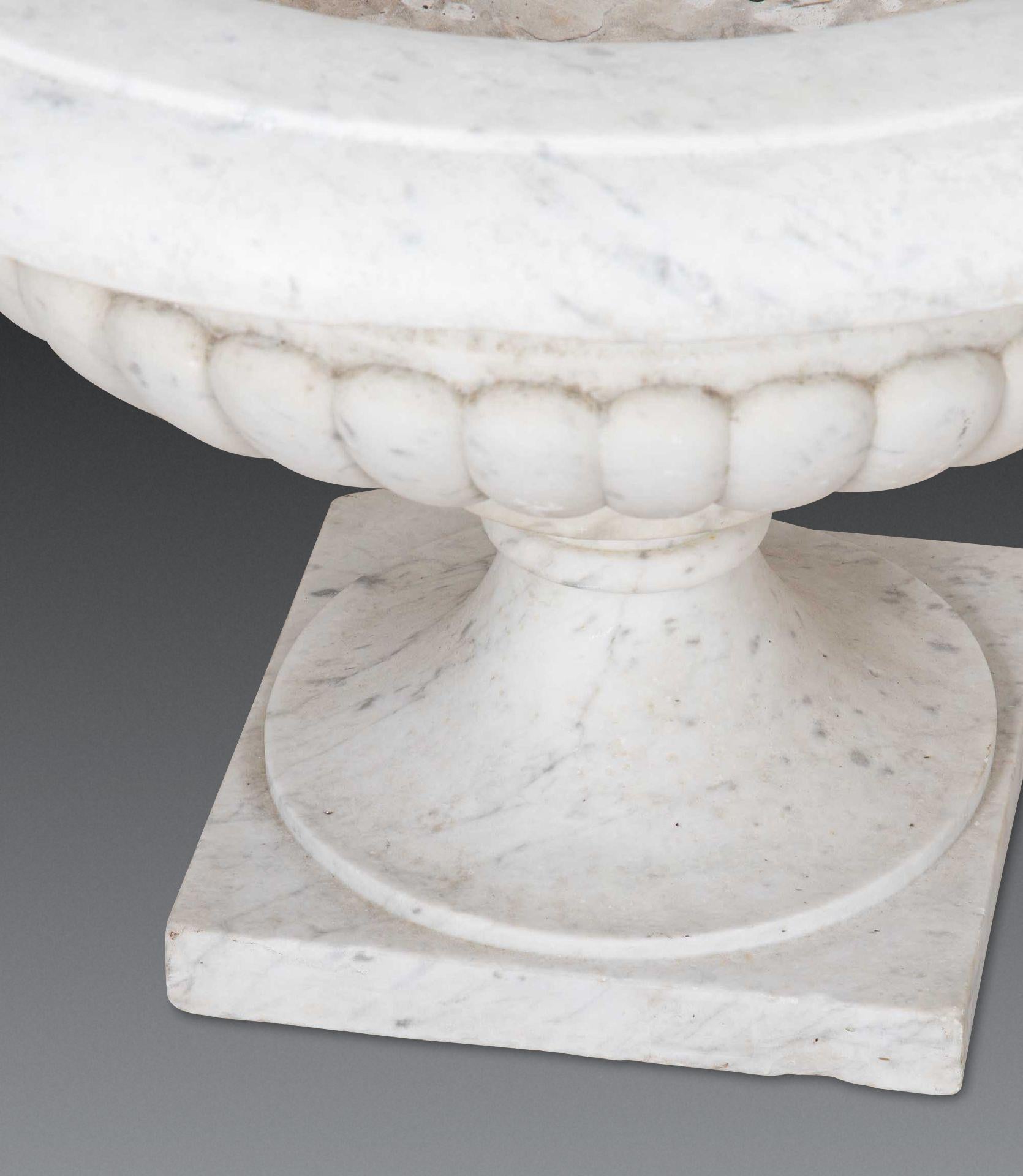 Pair of 19th Century Italian Marble Tazza Urns im Angebot 10