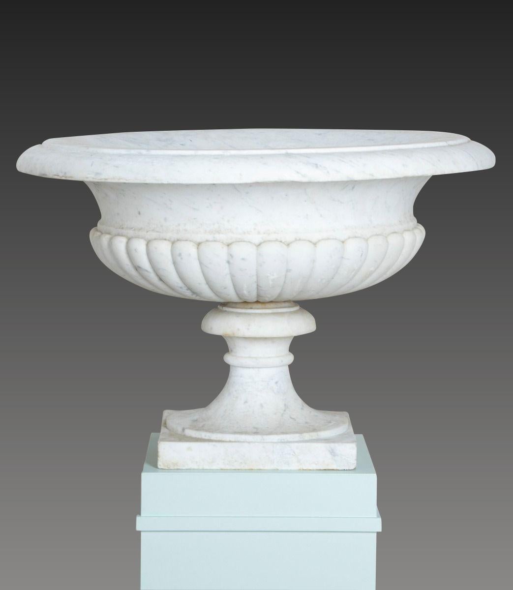 Pair of 19th Century Italian Marble Tazza Urns (Neoklassisch) im Angebot