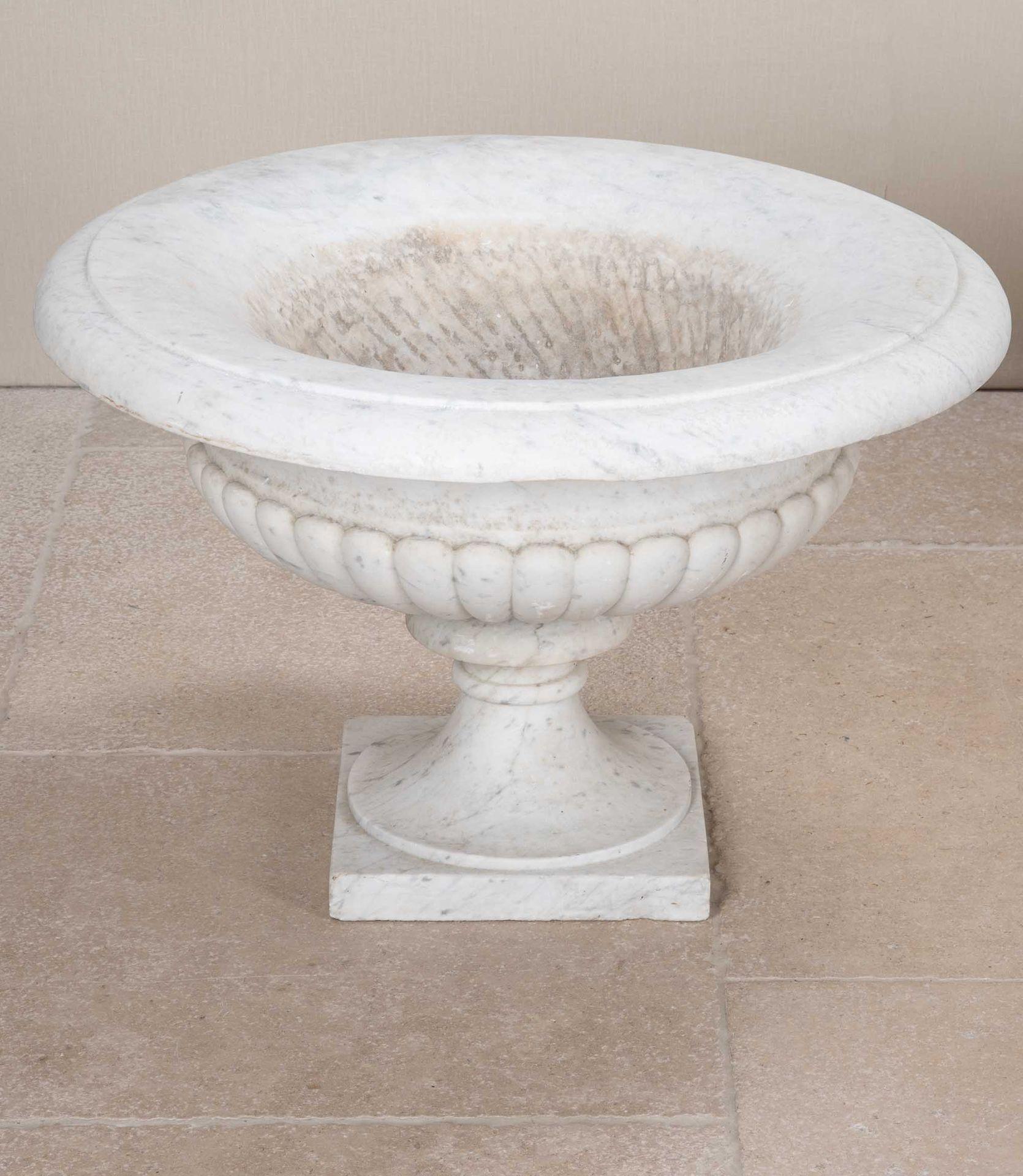 Neoclassical Pair of 19th Century Italian Marble Tazza Urns For Sale