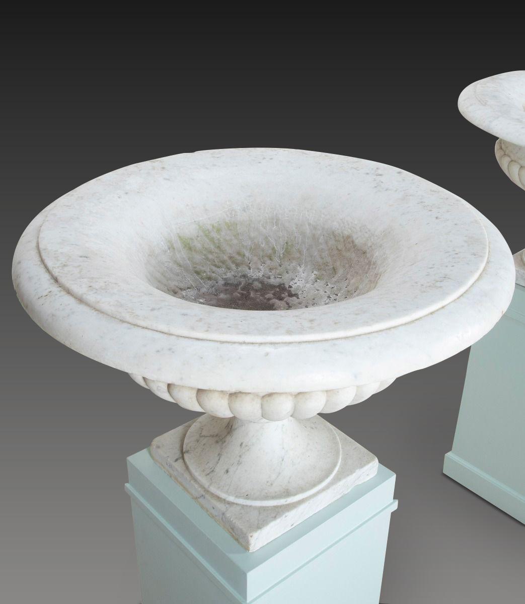 Pair of 19th Century Italian Marble Tazza Urns (Italienisch) im Angebot
