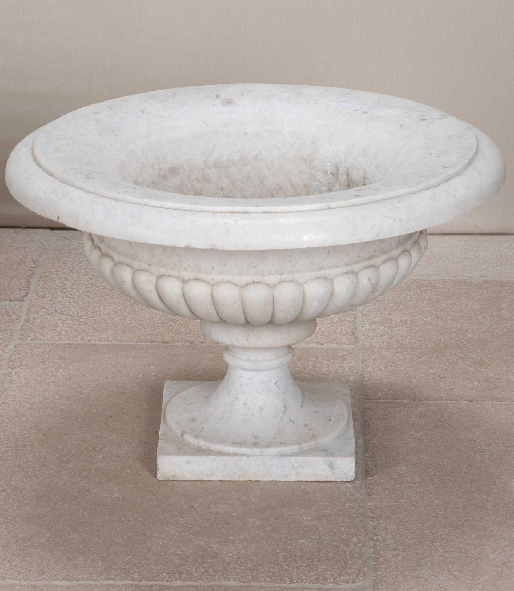 Pair of 19th Century Italian Marble Tazza Urns In Good Condition For Sale In Gloucestershire, GB