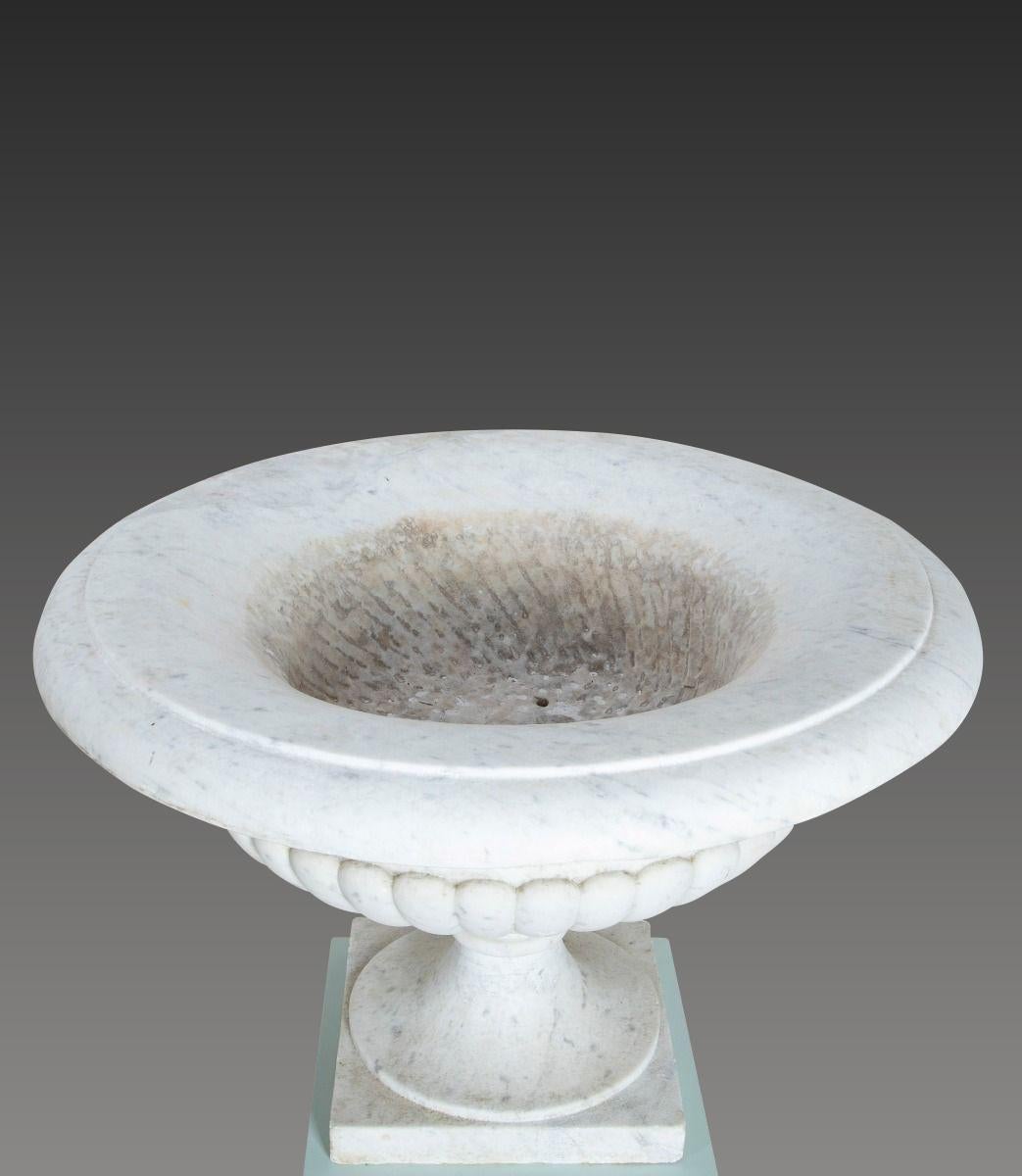 Pair of 19th Century Italian Marble Tazza Urns (Handgeschnitzt) im Angebot