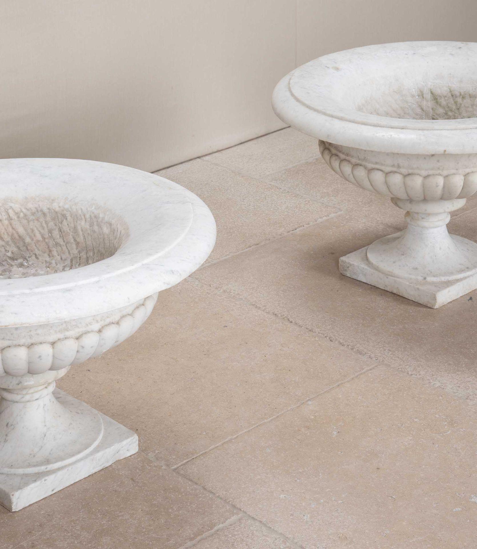 Carrara Marble Pair of 19th Century Italian Marble Tazza Urns For Sale