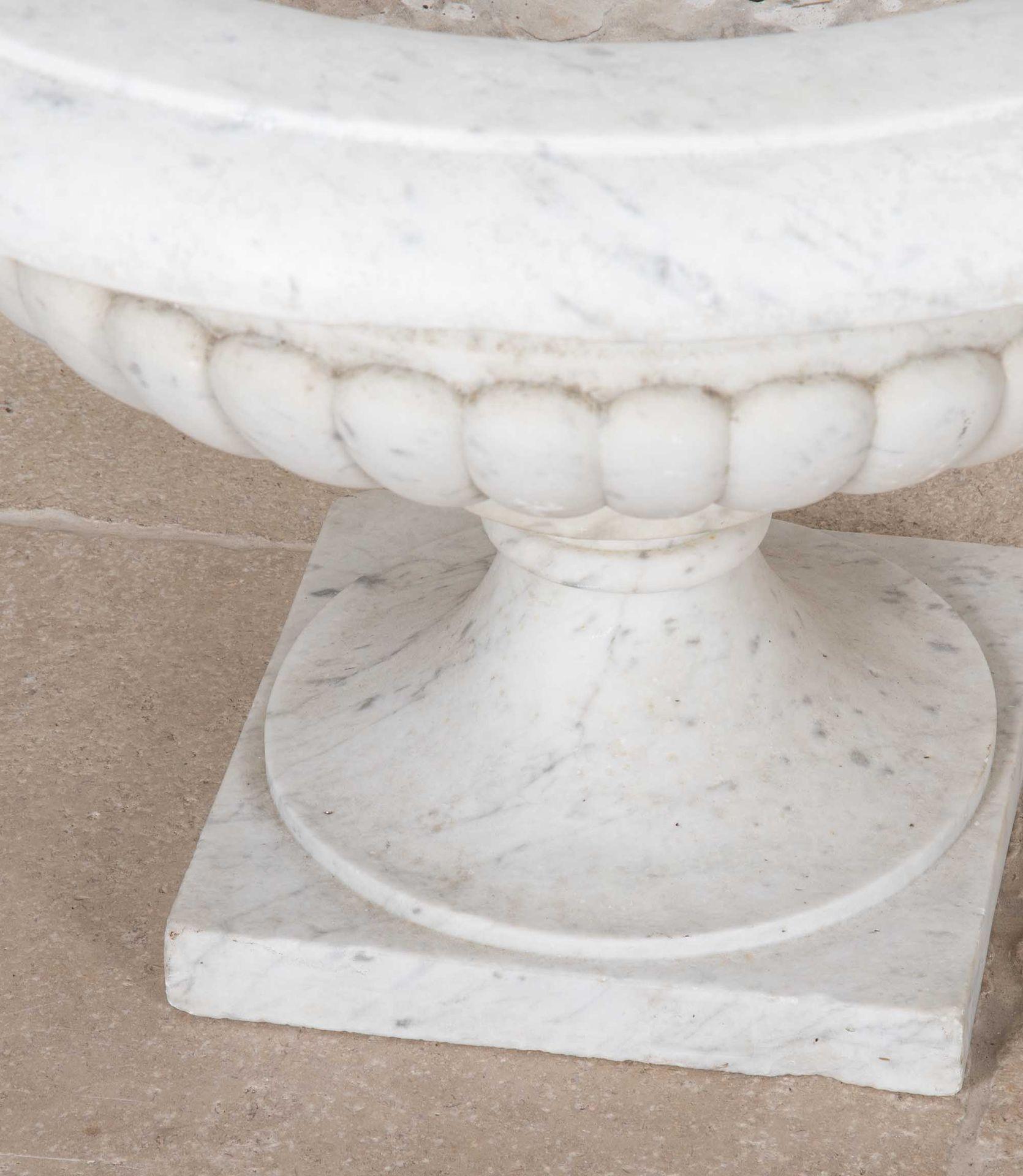 Pair of 19th Century Italian Marble Tazza Urns For Sale 1