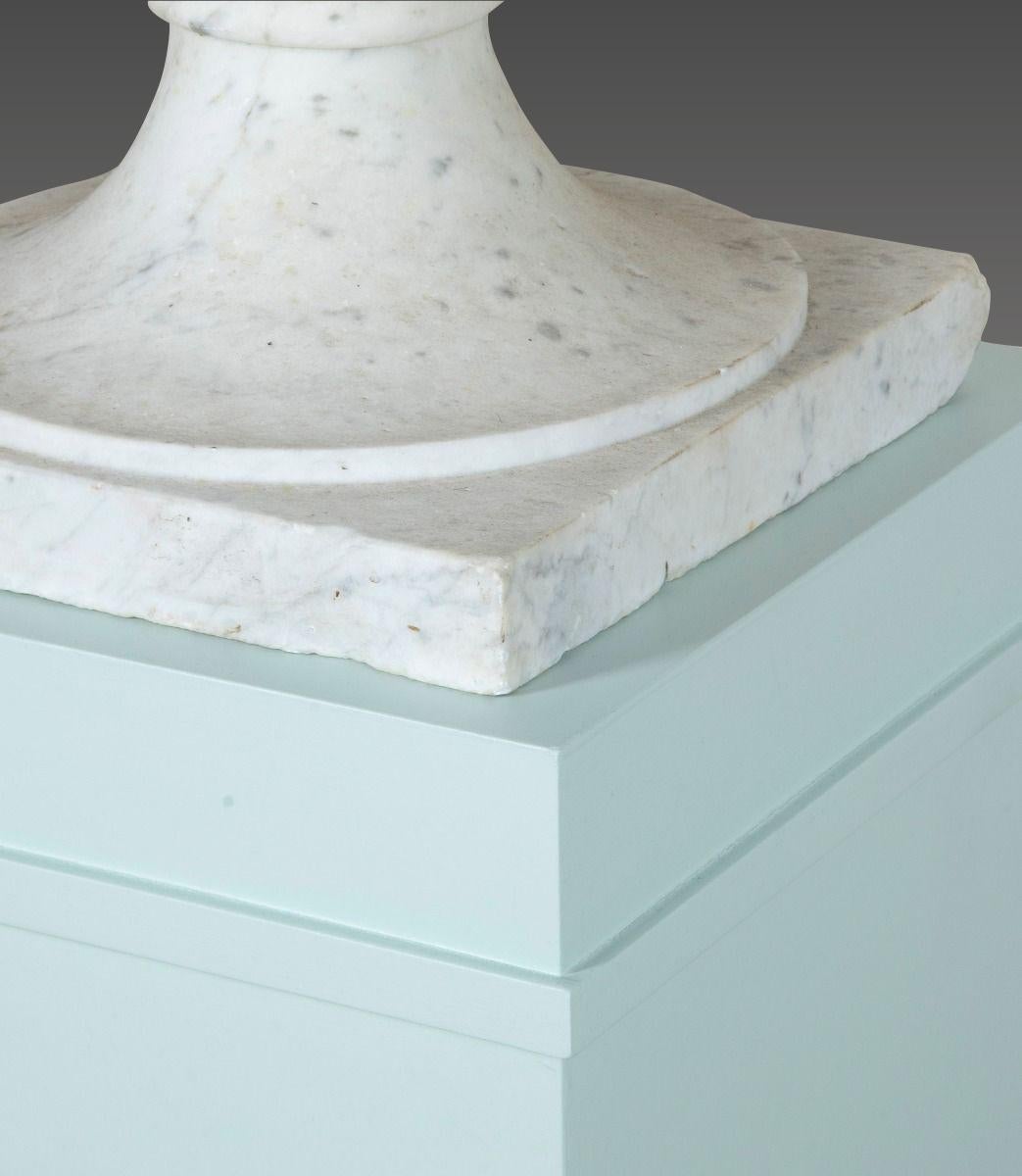 Pair of 19th Century Italian Marble Tazza Urns (Carrara-Marmor) im Angebot