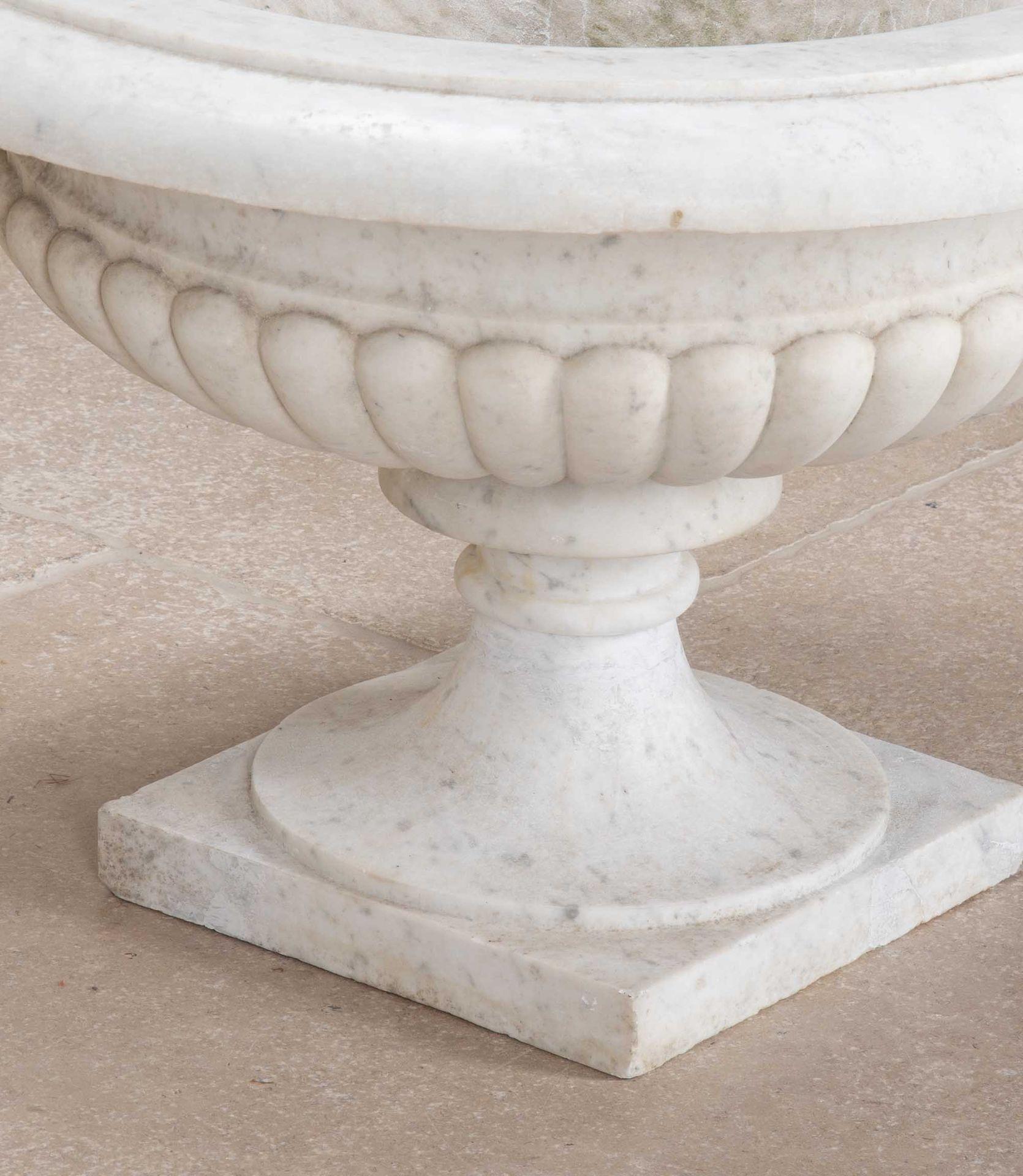 Pair of 19th Century Italian Marble Tazza Urns For Sale 3