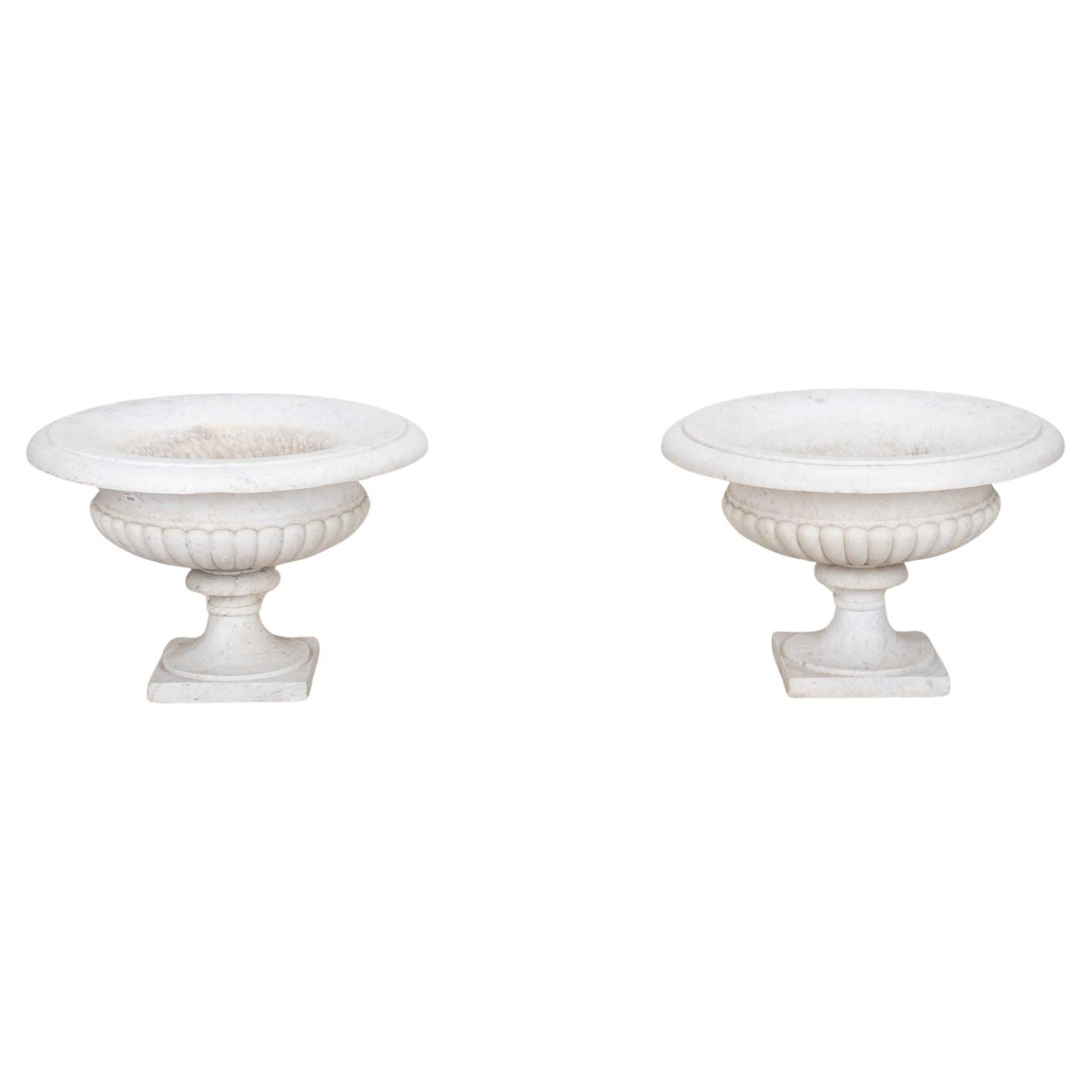 Pair of 19th Century Italian Marble Tazza Urns For Sale