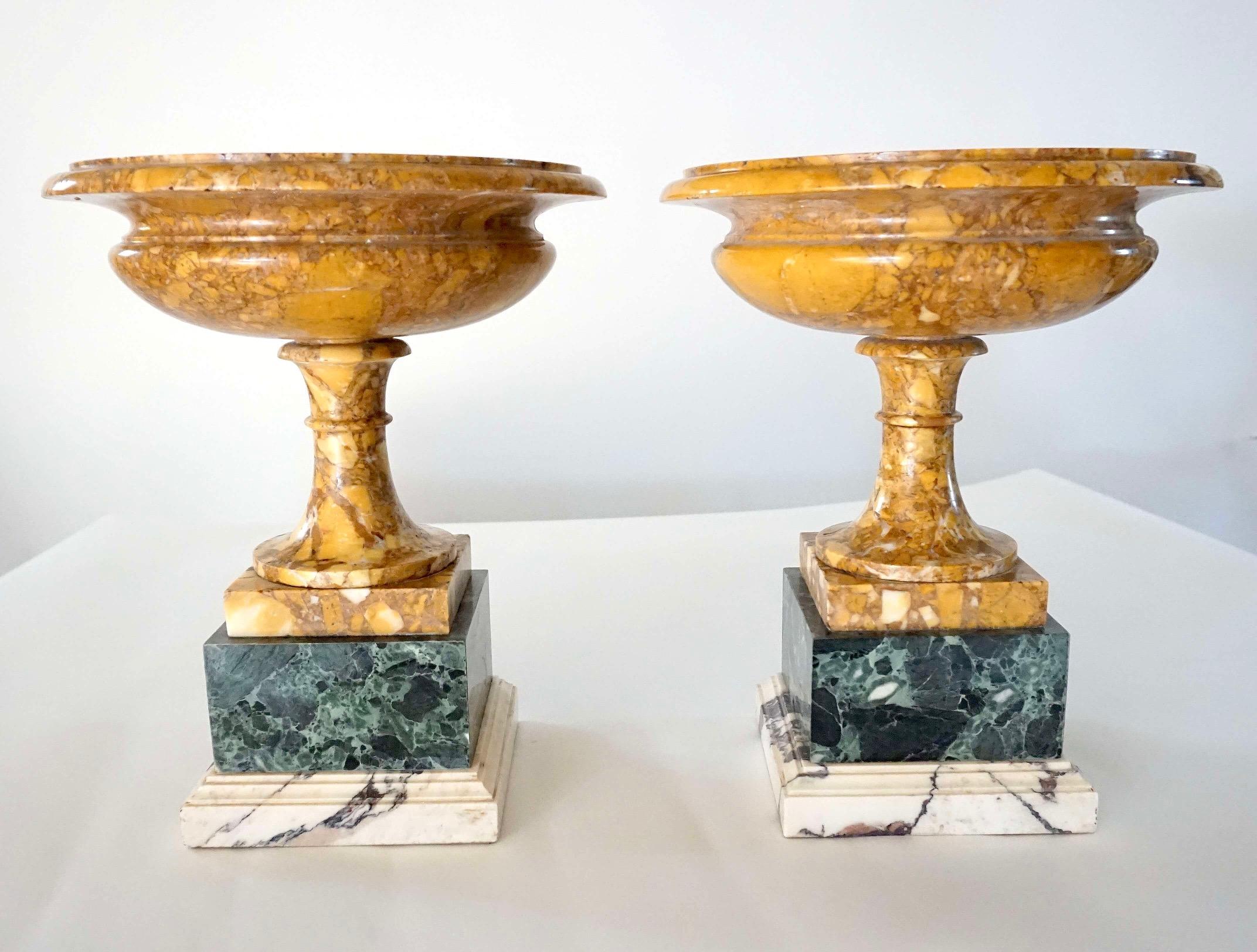 Pair of 19th Century Italian Neoclassical Tazze in Polychrome Marbles For Sale 5