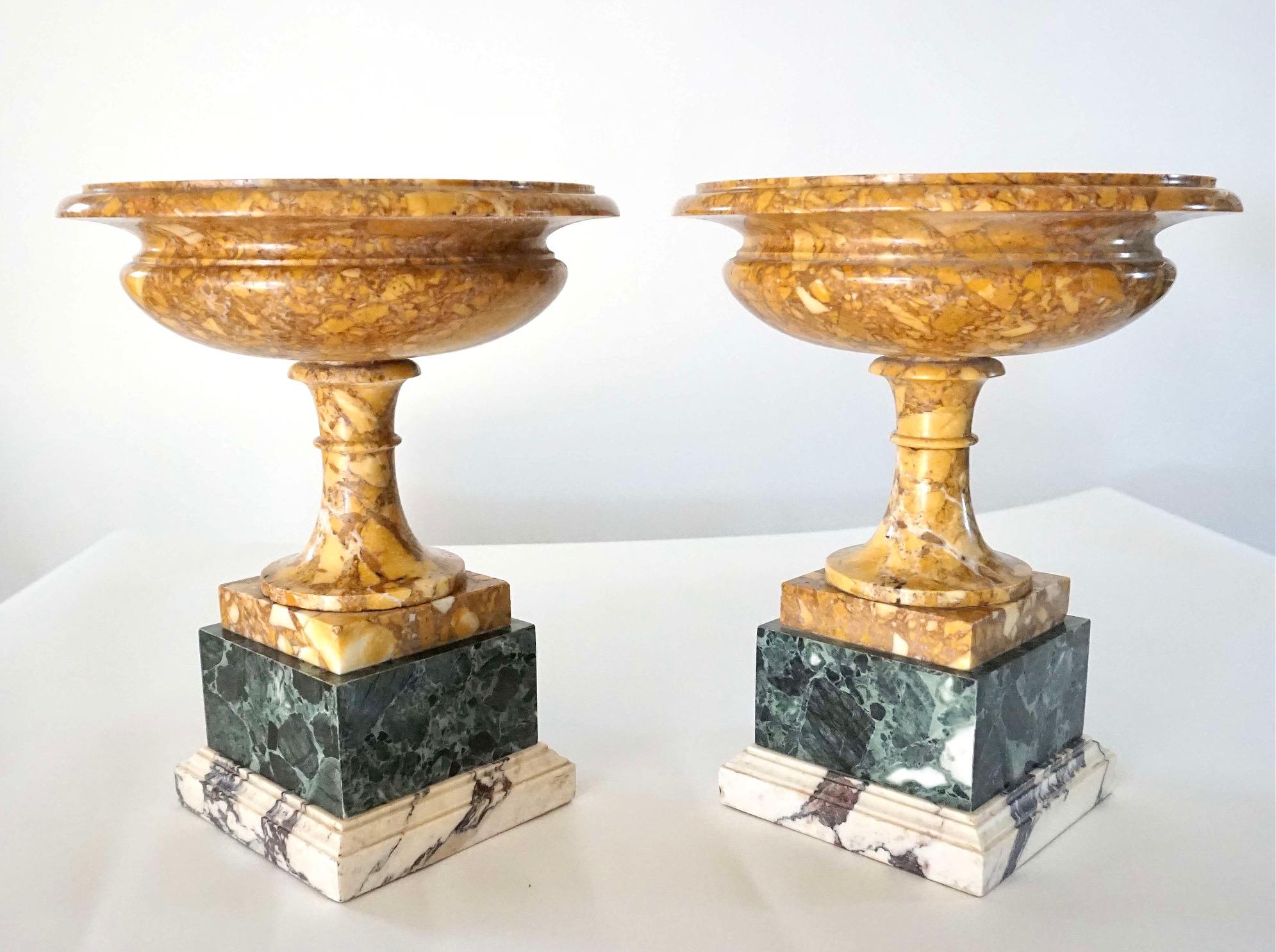 Pair of 19th Century Italian Neoclassical Tazze in Polychrome Marbles For Sale 6