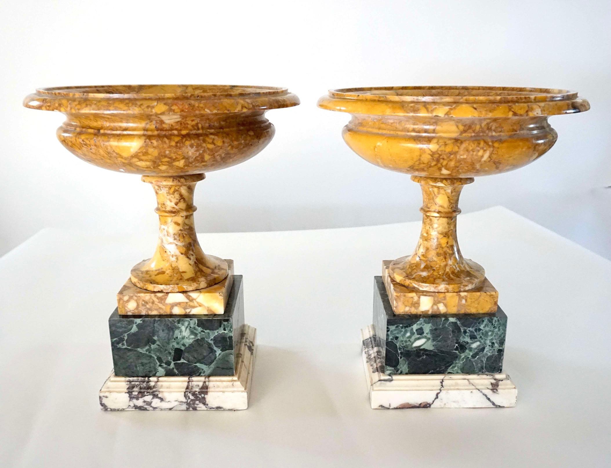 Pair of 19th Century Italian Neoclassical Tazze in Polychrome Marbles For Sale 7