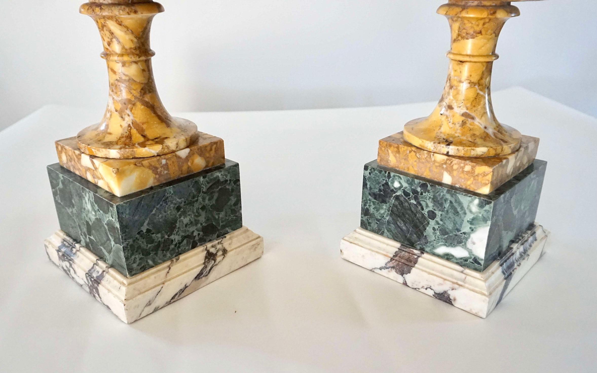 Pair of 19th Century Italian Neoclassical Tazze in Polychrome Marbles For Sale 8