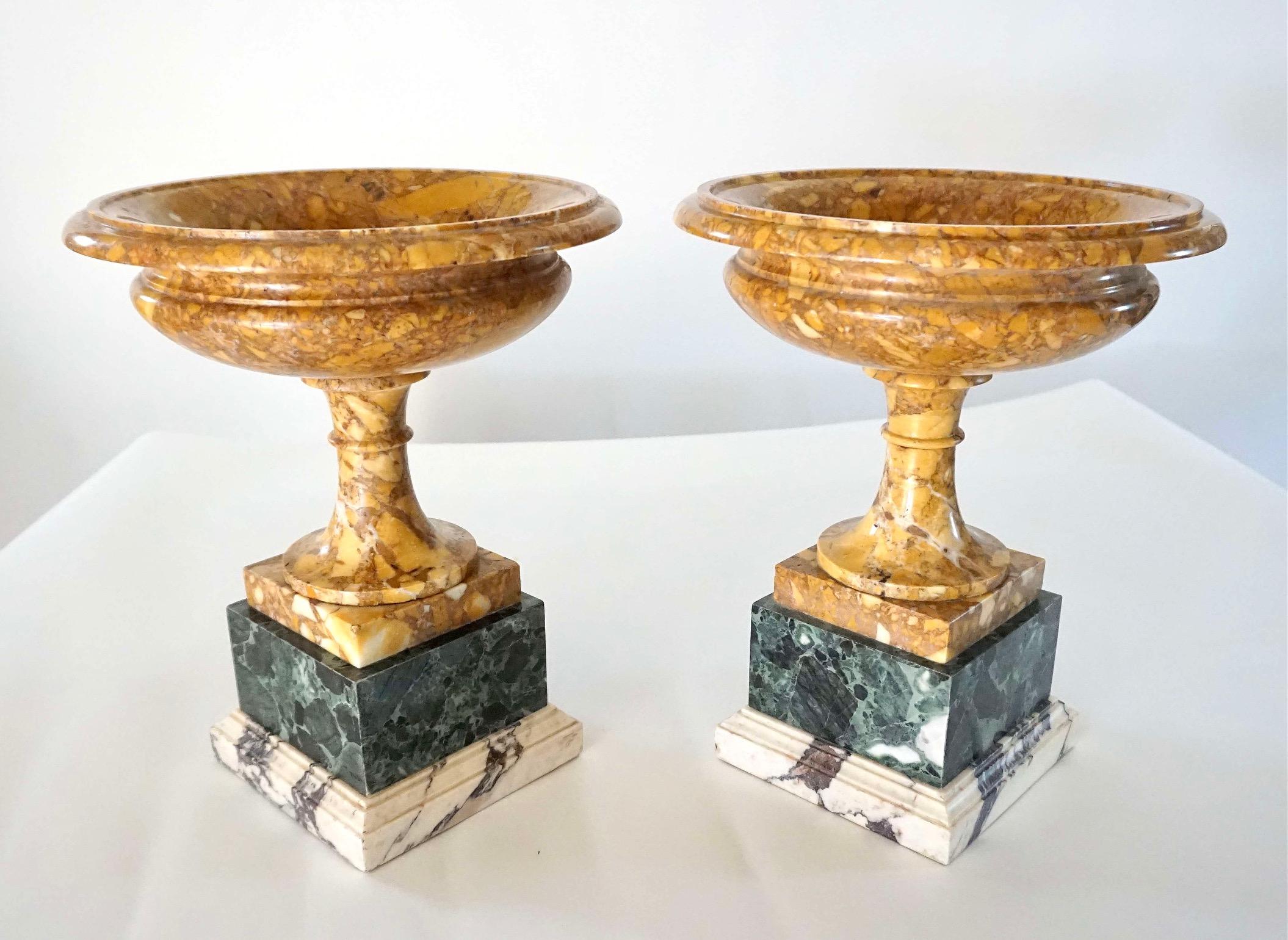 Pair of 19th Century Italian Neoclassical Tazze in Polychrome Marbles For Sale 9