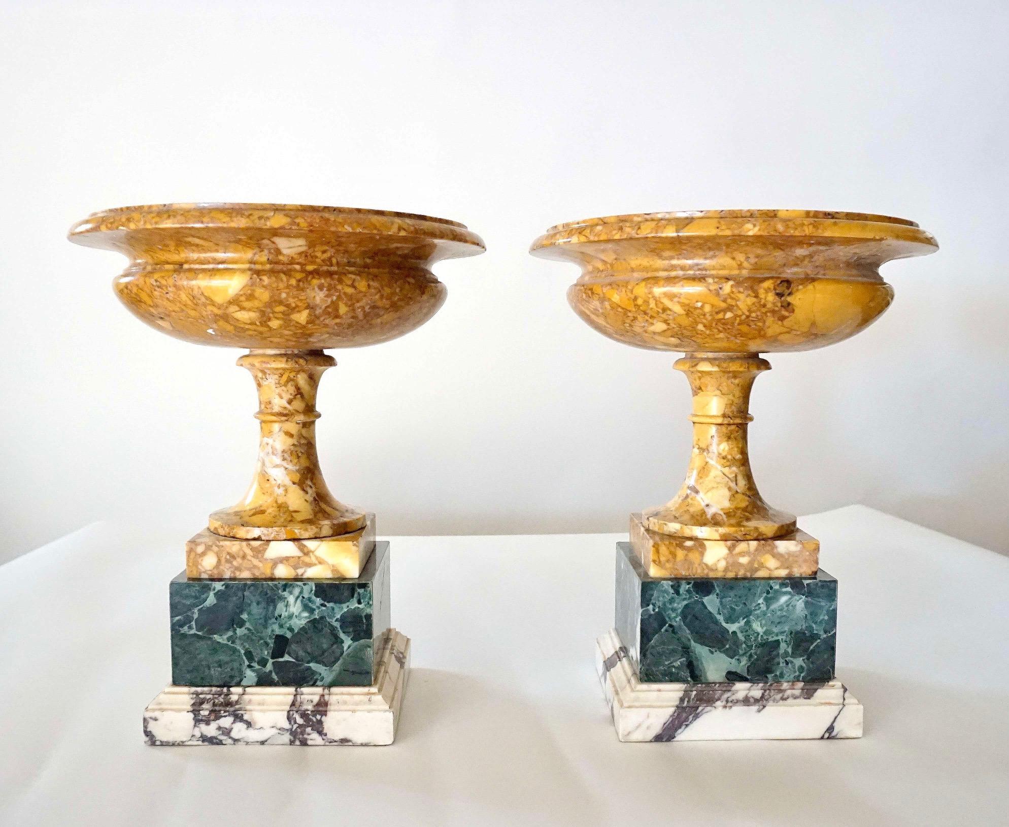Grand Tour Pair of 19th Century Italian Neoclassical Tazze in Polychrome Marbles For Sale