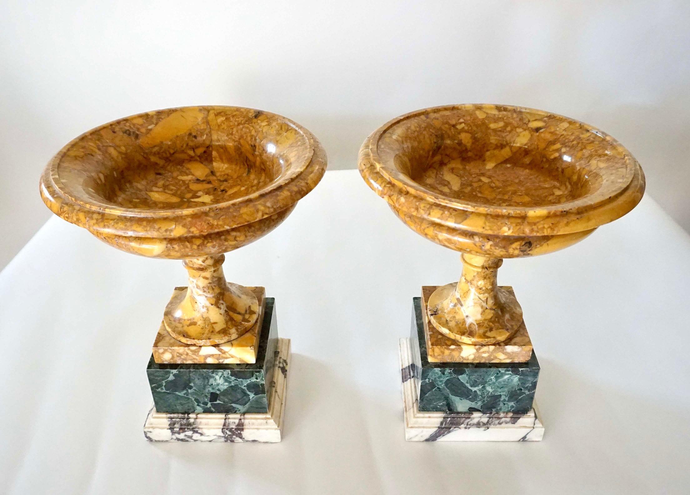 Hand-Carved Pair of 19th Century Italian Neoclassical Tazze in Polychrome Marbles For Sale