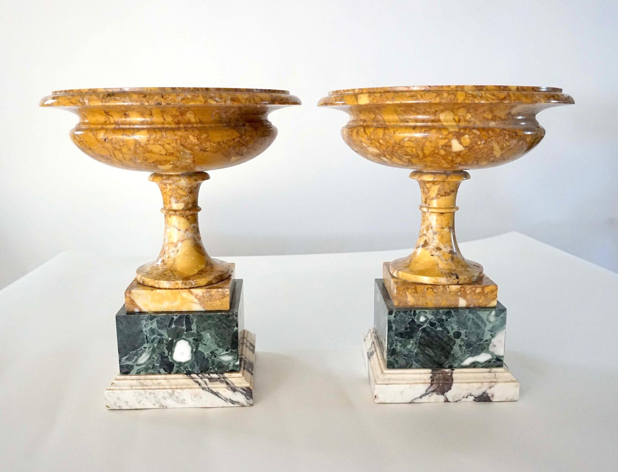 Pair of 19th Century Italian Neoclassical Tazze in Polychrome Marbles For Sale 1