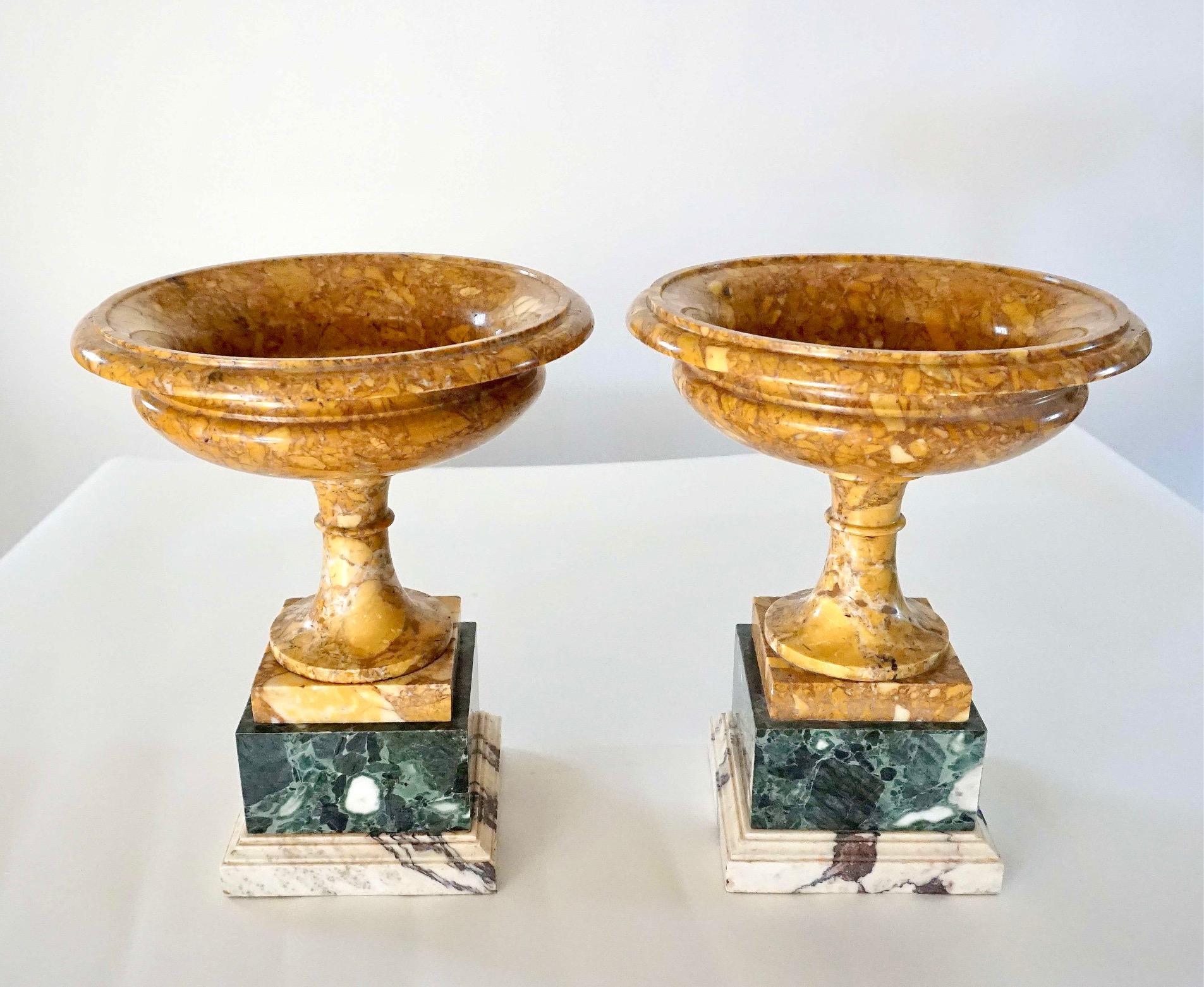 Pair of 19th Century Italian Neoclassical Tazze in Polychrome Marbles For Sale 2