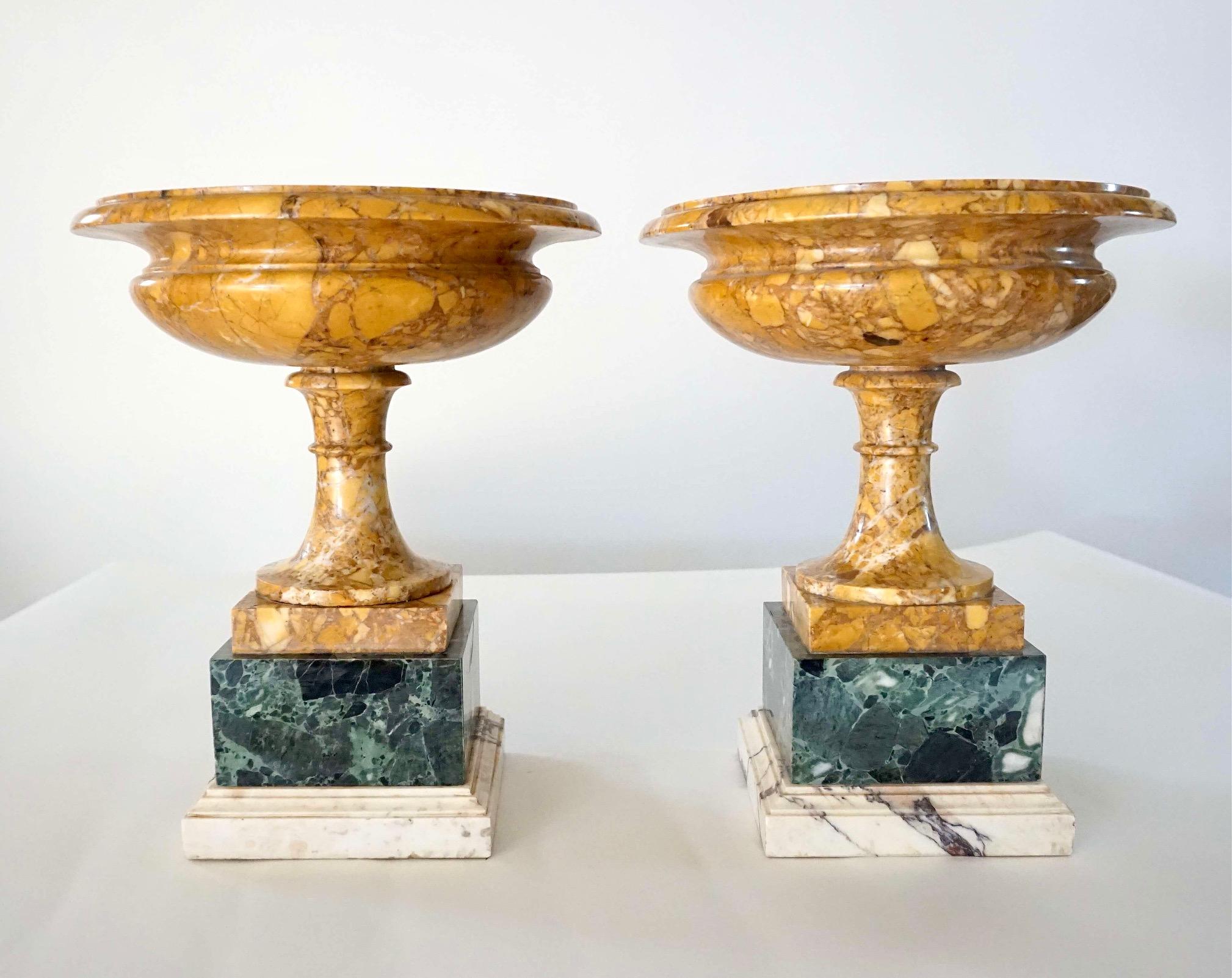 Pair of 19th Century Italian Neoclassical Tazze in Polychrome Marbles For Sale 3