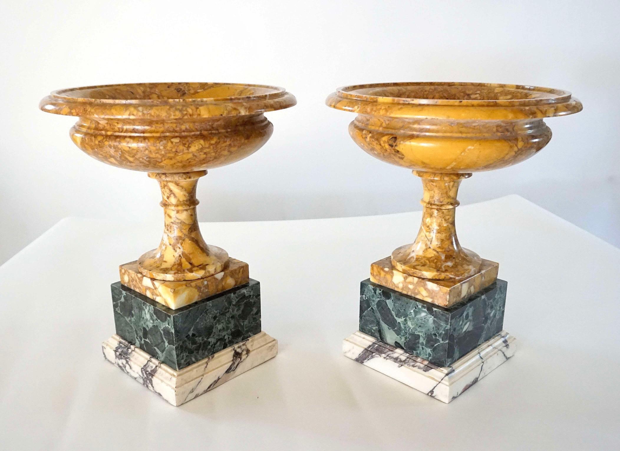 Pair of 19th Century Italian Neoclassical Tazze in Polychrome Marbles For Sale 4