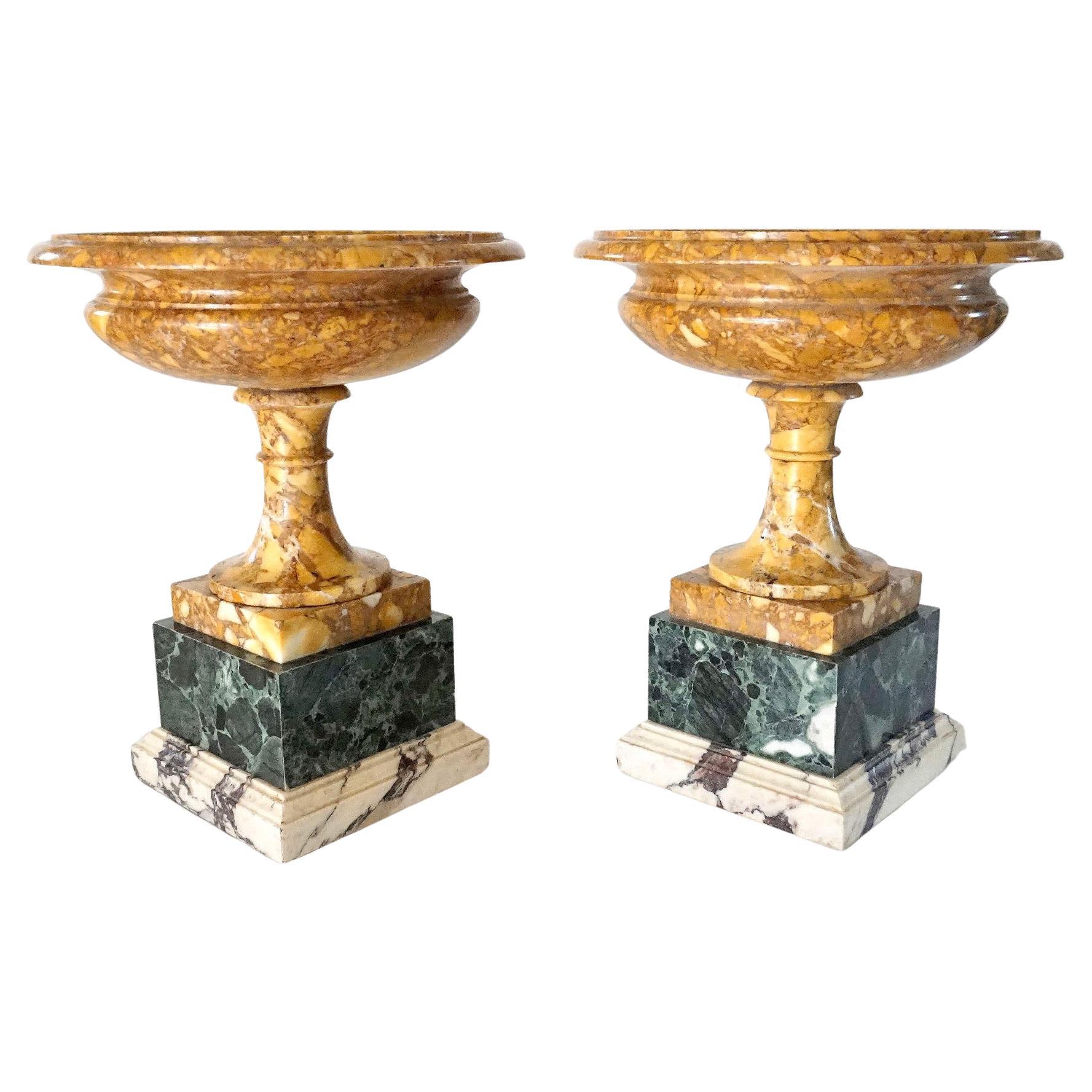 Pair of 19th Century Italian Neoclassical Tazze in Polychrome Marbles