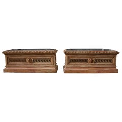 Antique Pair of 19th Century Italian Planters in the Directoire Style