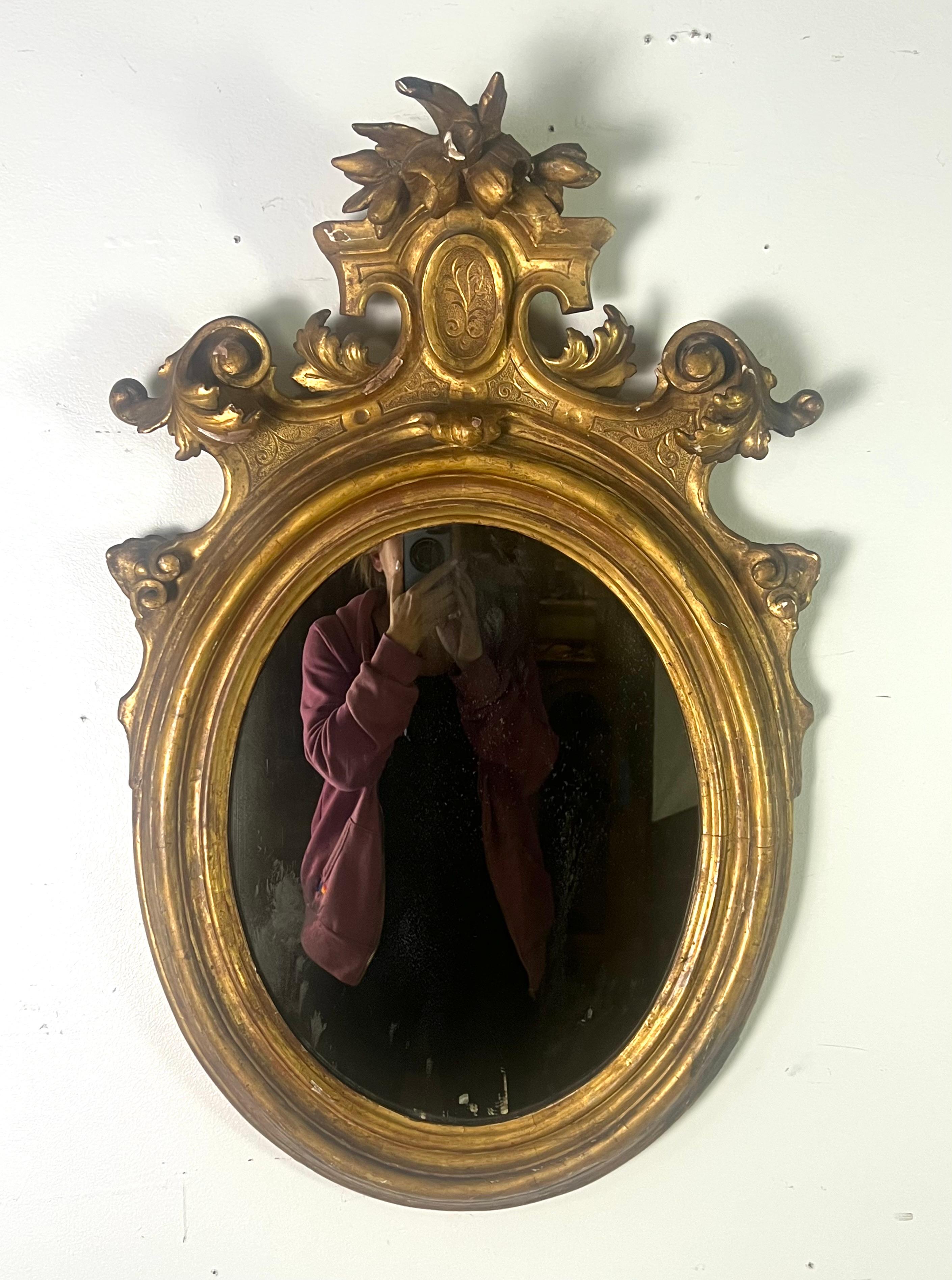 Coppia di specchi ovali del XIX secolo con cornici ornate e dorate.  Le cornici sono disegnate in stile rococò, con intricati intagli e abbellimenti.  Ogni specchio presenta uno stemma altamente decorativo nella parte superiore, che comprende un