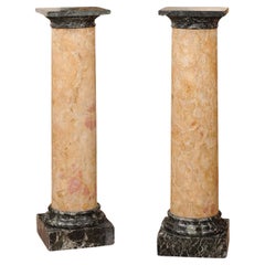 Antique Pair of 19th Century Italian Tan & Green Marble Columns/Pedestals