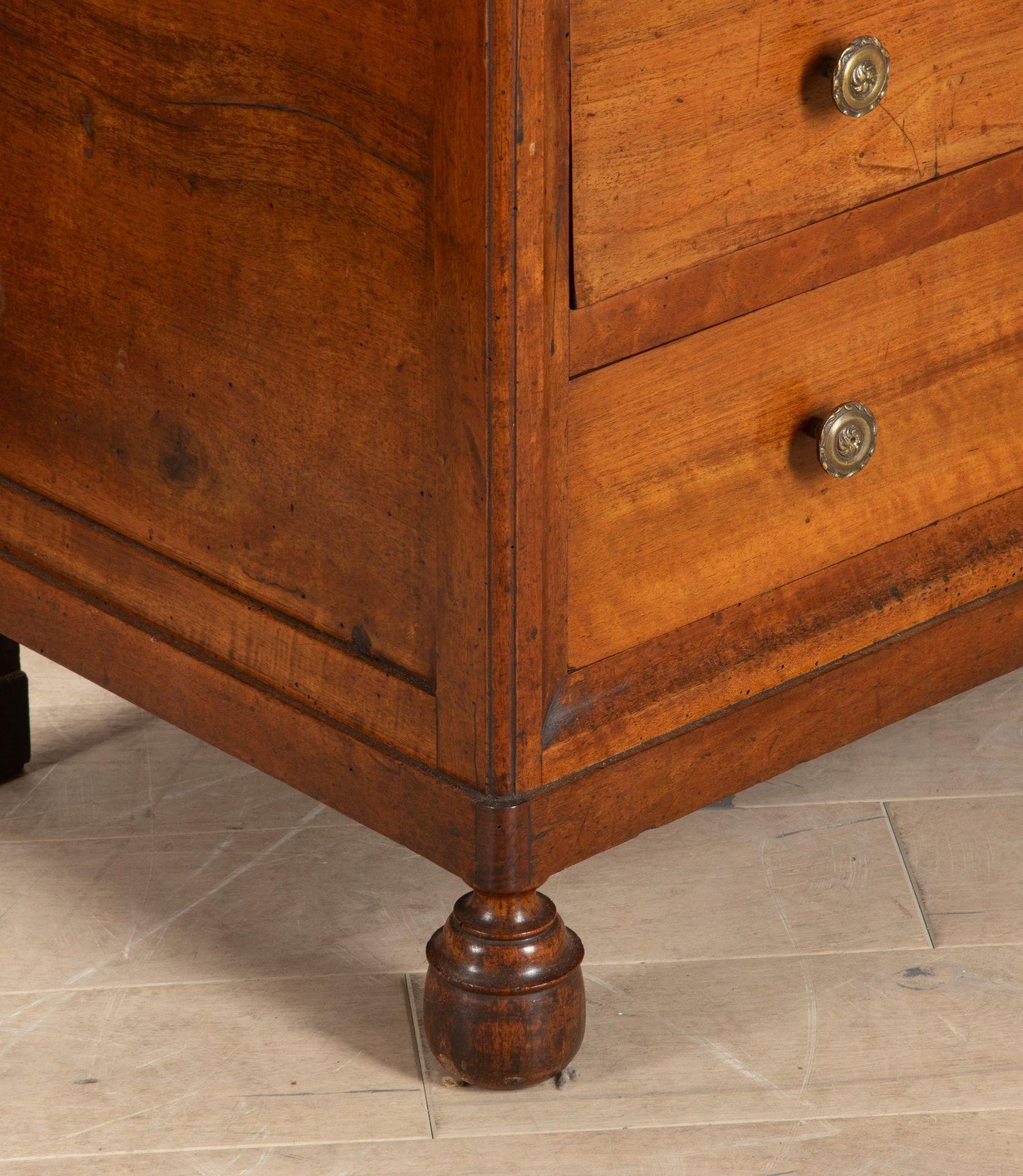 Coppia di commodes in legno di noce del XIX secolo in vendita 2