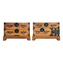 Pair of 19th Century Japanese Tansu Chests on Stands