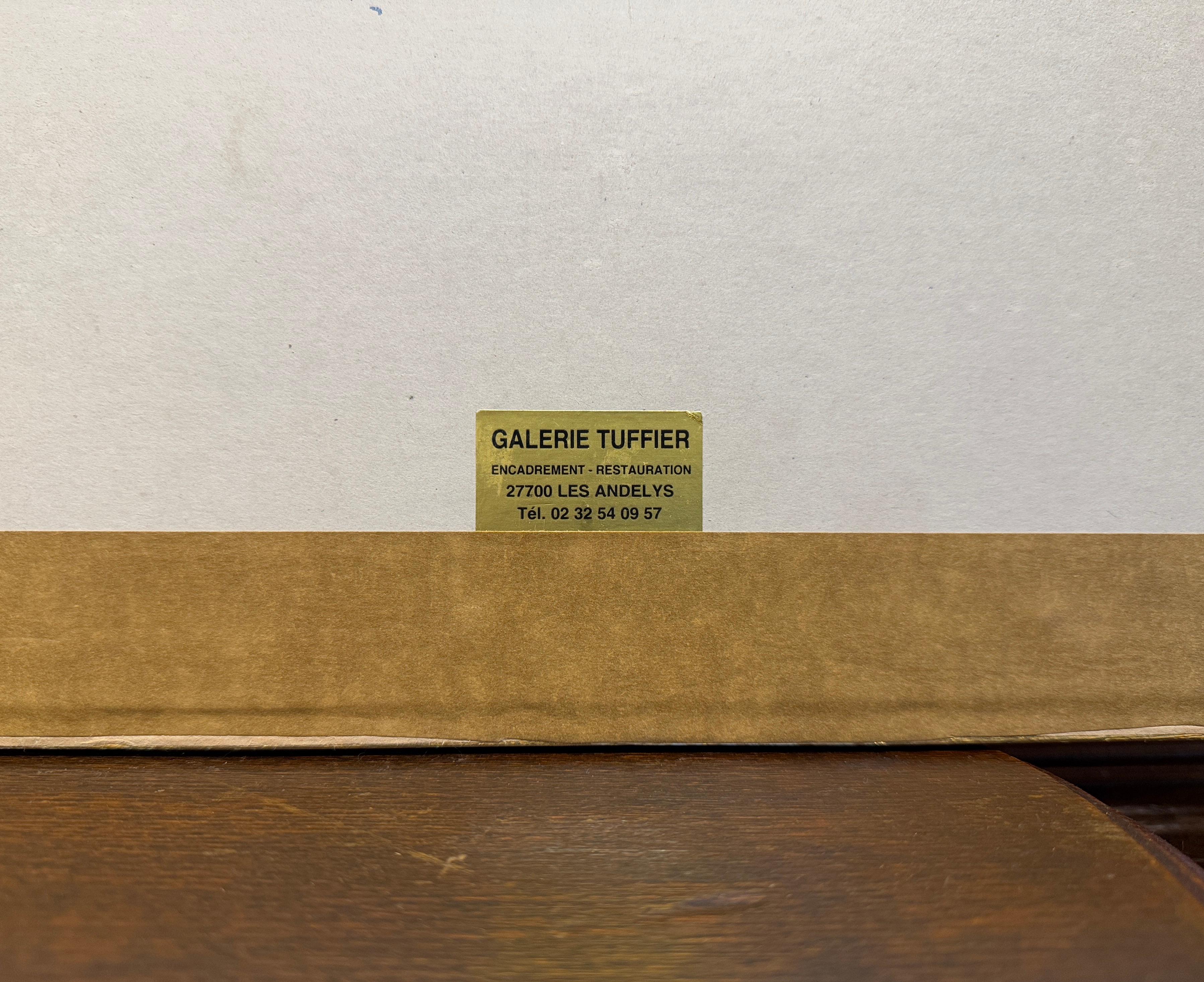 Paar handkolorierte Vogellithografien von John Gould, H. C. Richter aus dem 19. Jahrhundert im Angebot 6