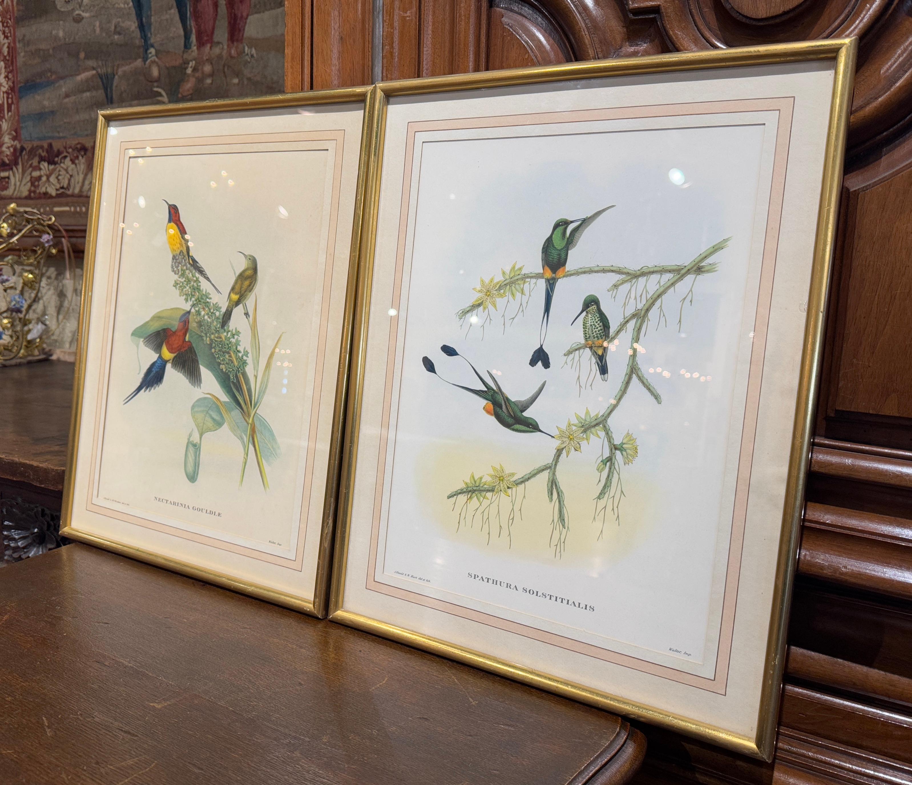 Dekorieren Sie ein Büro oder Arbeitszimmer mit diesem Satz antiker Lithografien. Die um 1850 in England von Gould und Richter handgemalten Drucke zeigen exotische Vögel auf Bäumen oder Blättern. Unter den Titeln 