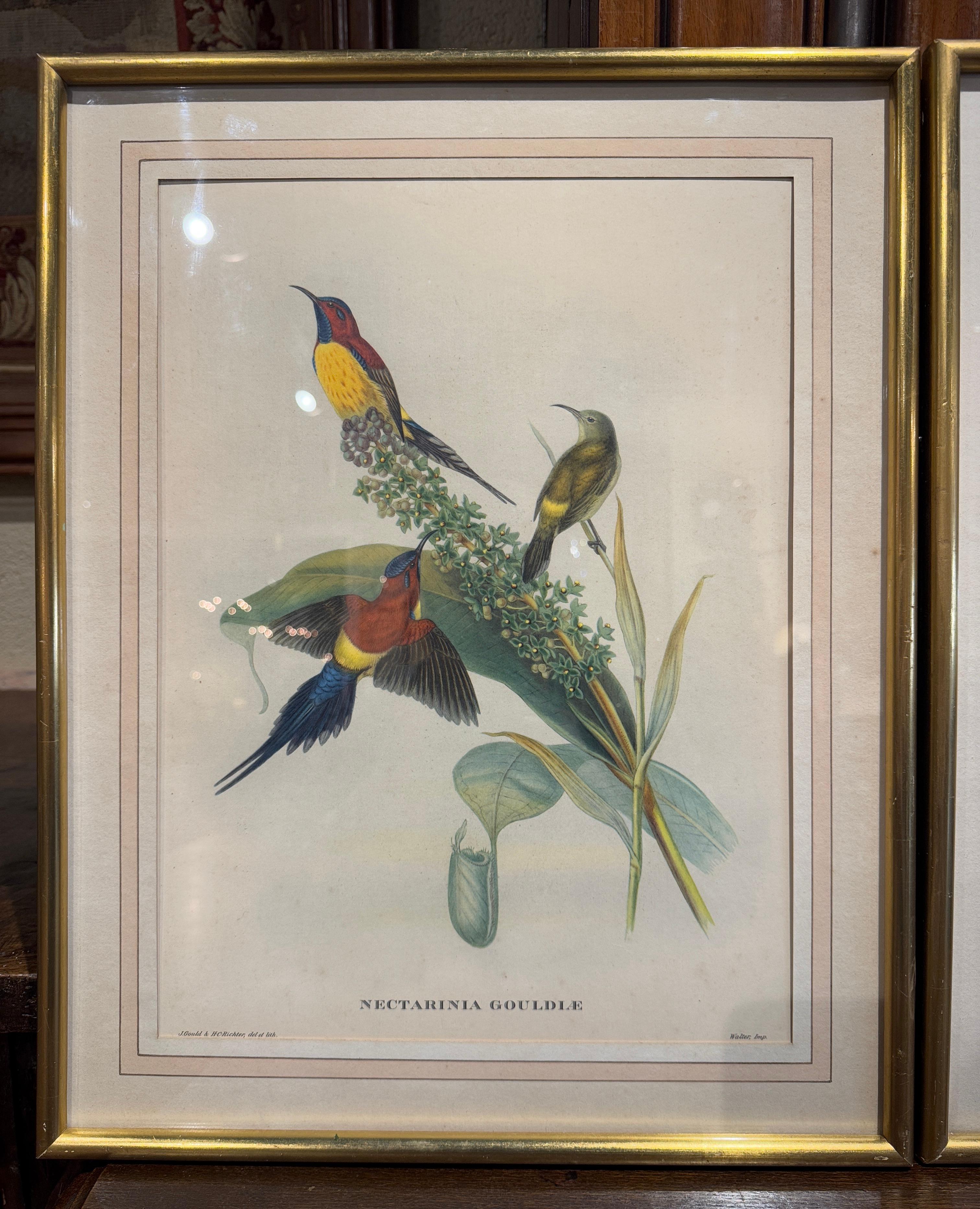Paar handkolorierte Vogellithografien von John Gould, H. C. Richter aus dem 19. Jahrhundert (Handbemalt) im Angebot