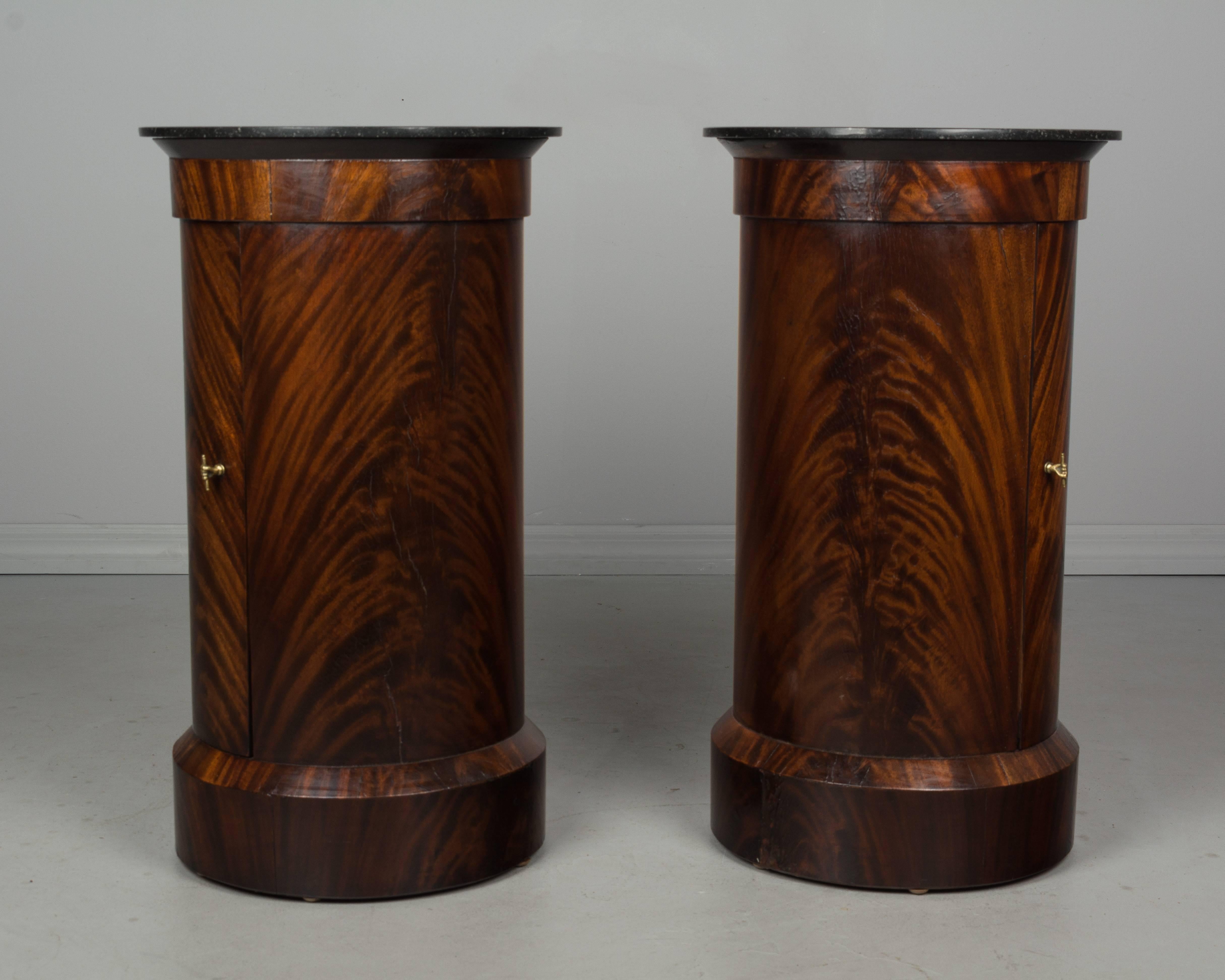 Cast Pair of 19th Century Louis Philippe Style Pedestal Cabinets