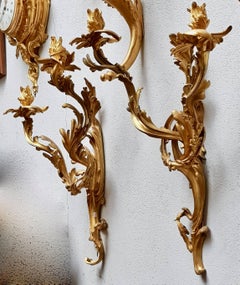 Pair of 19th Century Louis XV Ormolu Twin-Branch Wall-Lights after Caffieri