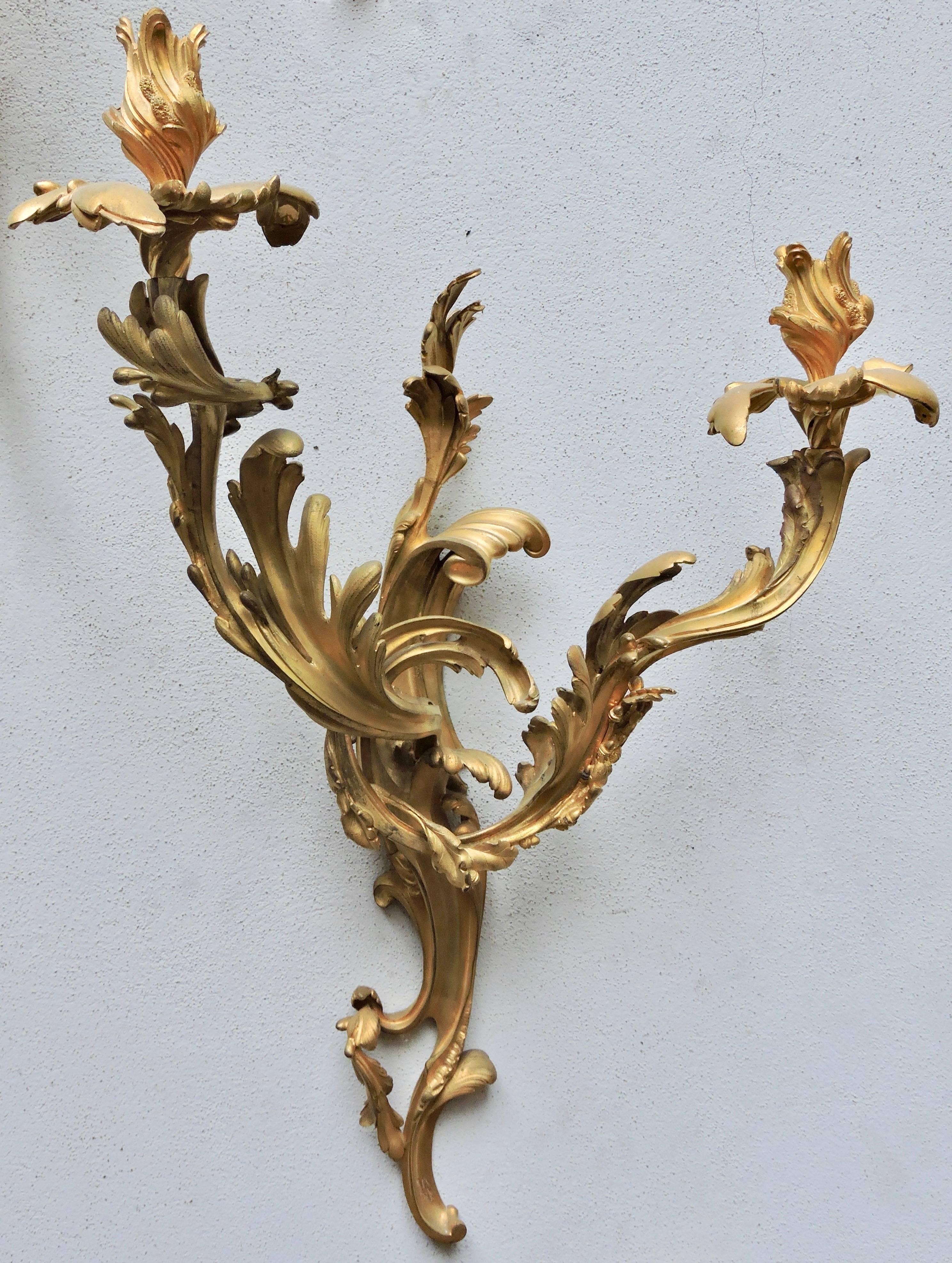 French Pair of 19th Century Louis XV Ormolu Twin-Branch Wall-Lights after Caffieri