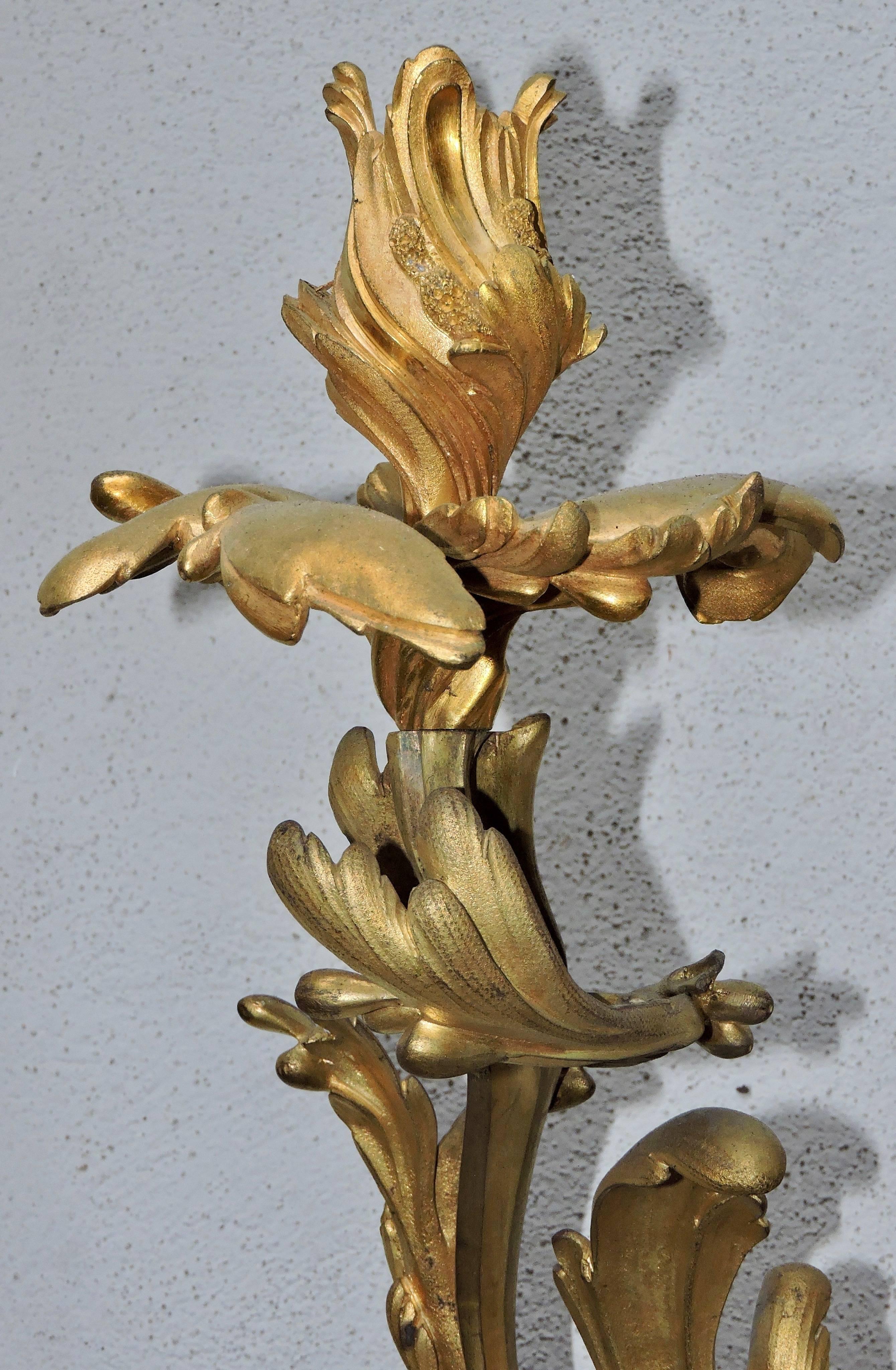 Late 19th Century Pair of 19th Century Louis XV Ormolu Twin-Branch Wall-Lights after Caffieri