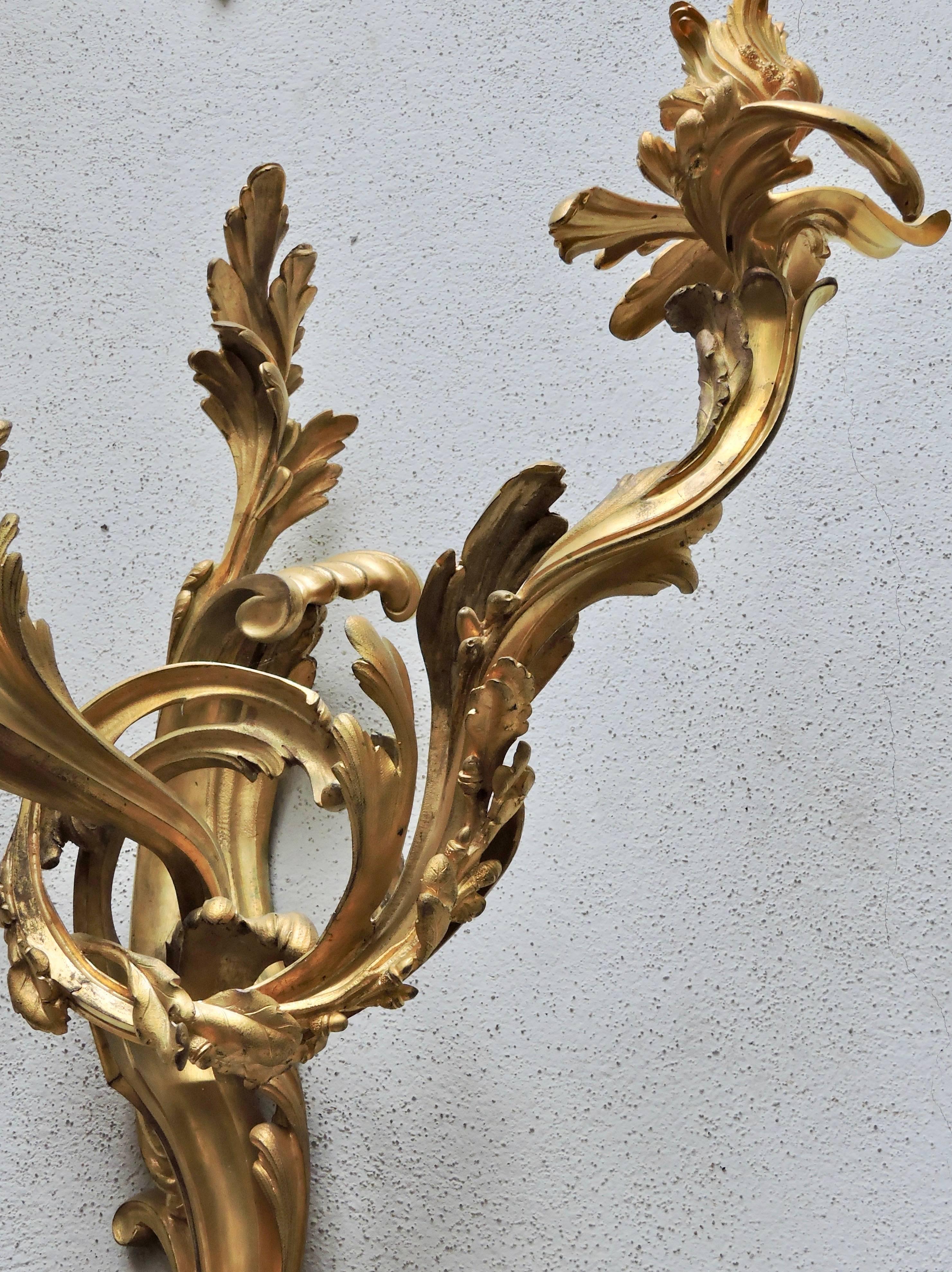 Pair of 19th Century Louis XV Ormolu Twin-Branch Wall-Lights after Caffieri 4