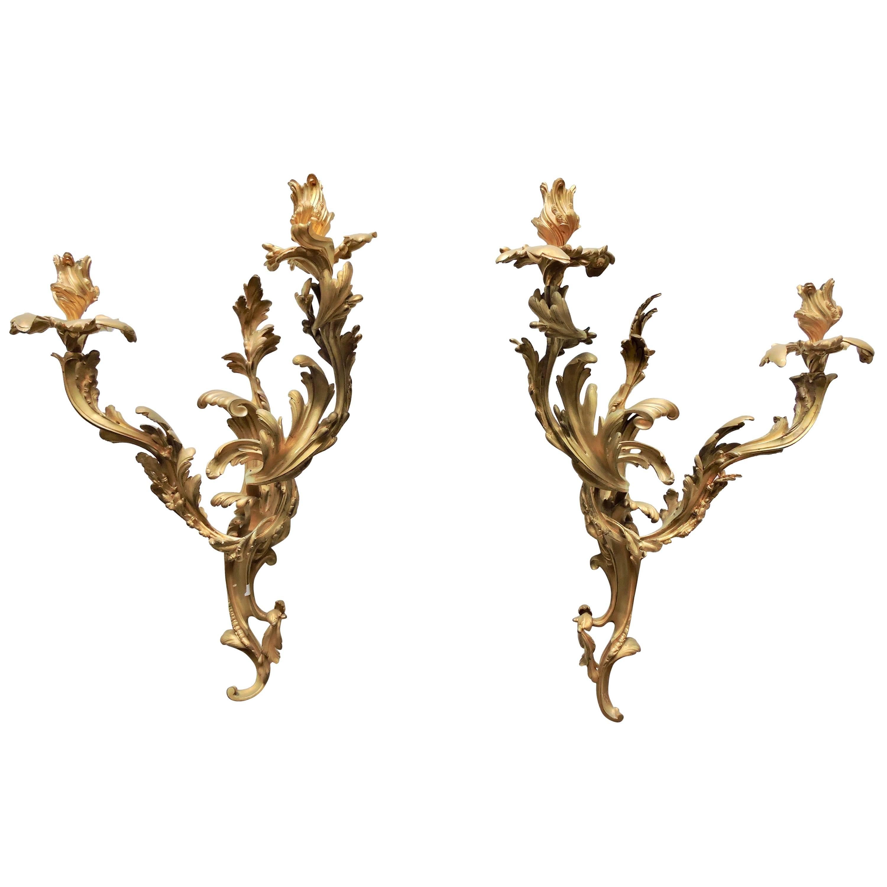 Pair of 19th Century Louis XV Ormolu Twin-Branch Wall-Lights after Caffieri