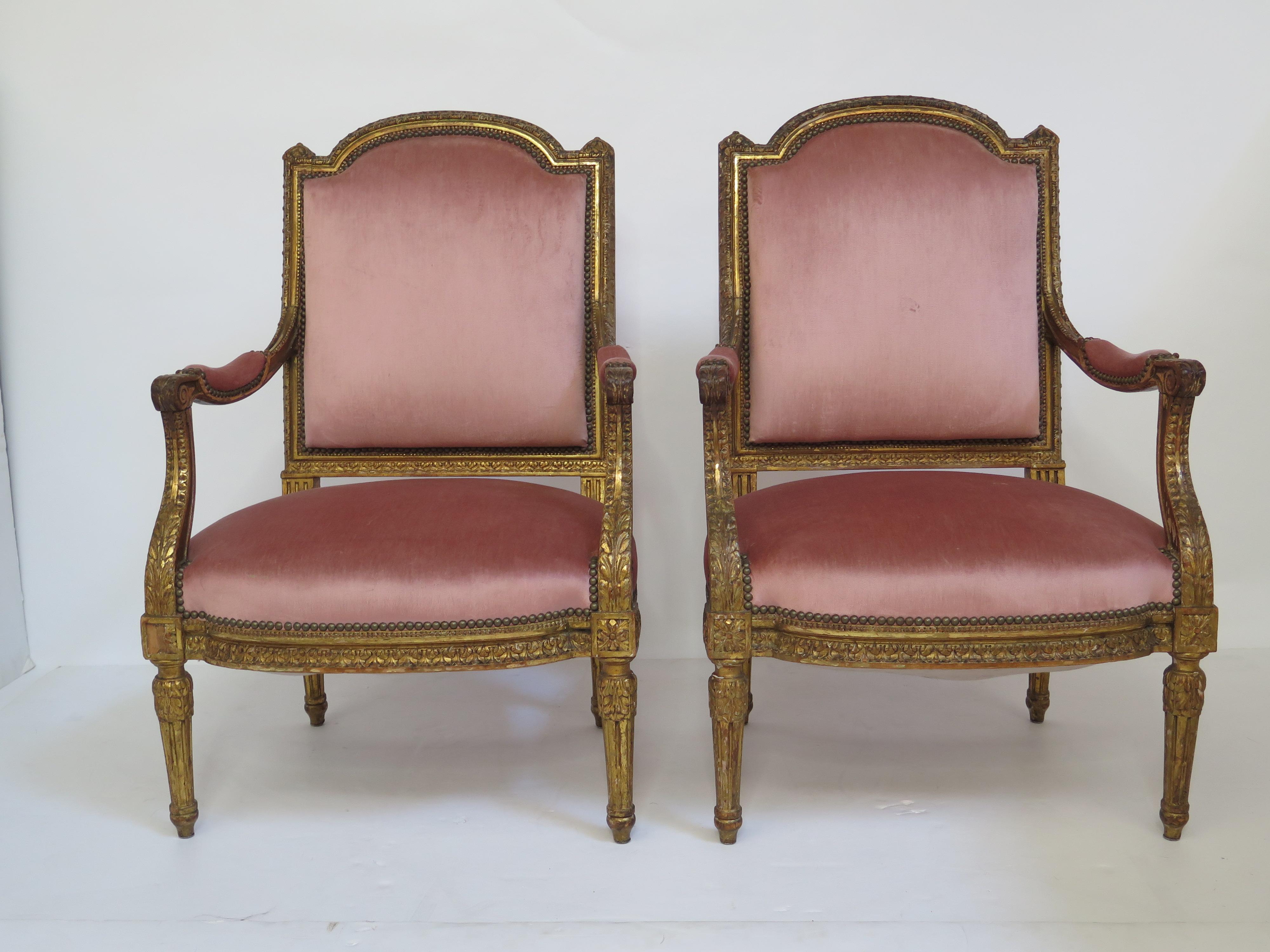 A pair of Louis XVI style armchairs with heavily carved gilt wood frames. Upholstered seat and back in peach velvet.

Measures: 25