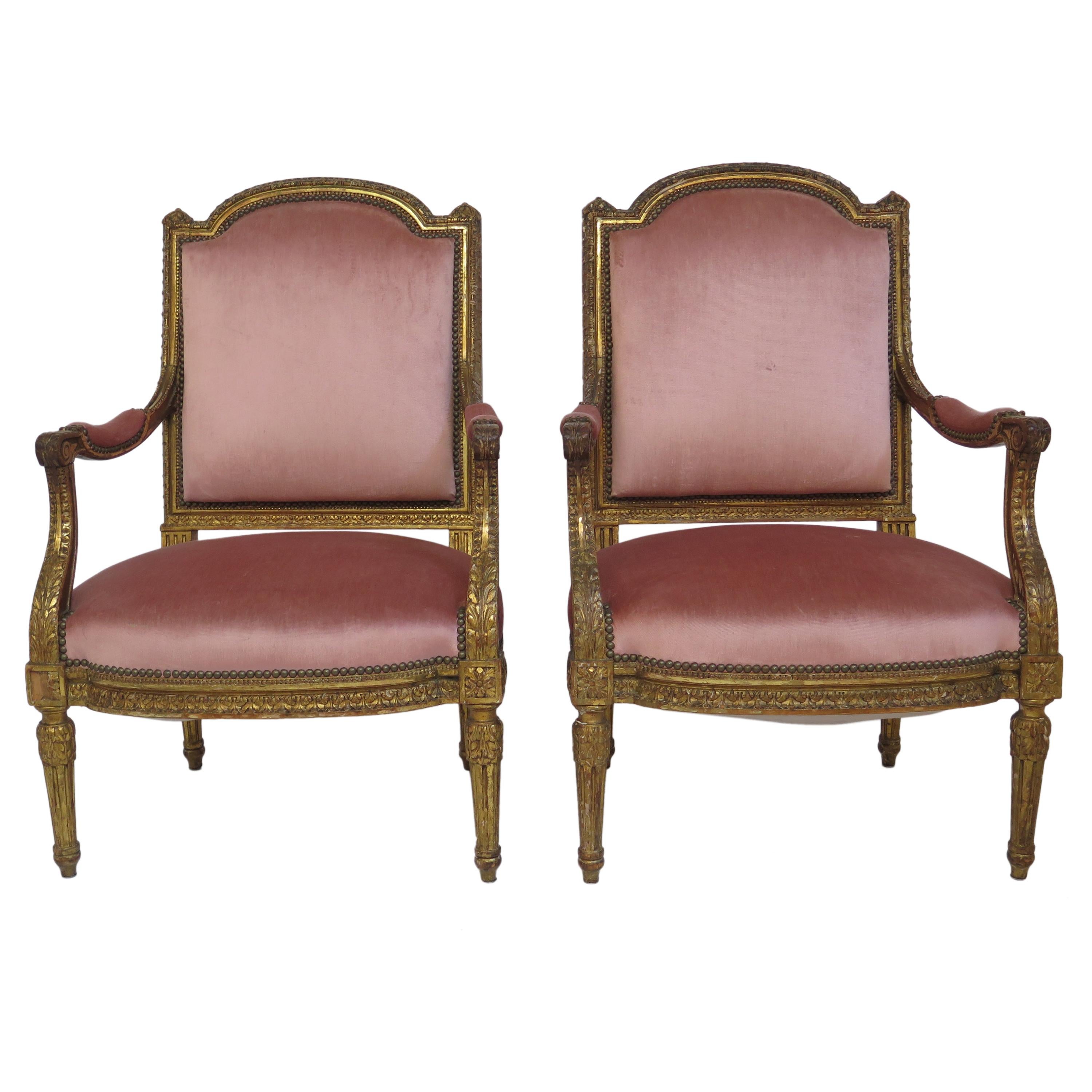 Pair of 19th Century Louis XVI Style Giltwood Fauteuils