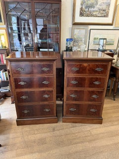 Pair of 19th Century Mahogany Chest Of Drawers