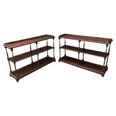 Pair of 19th Century Mahogany Display Stands or Shelves