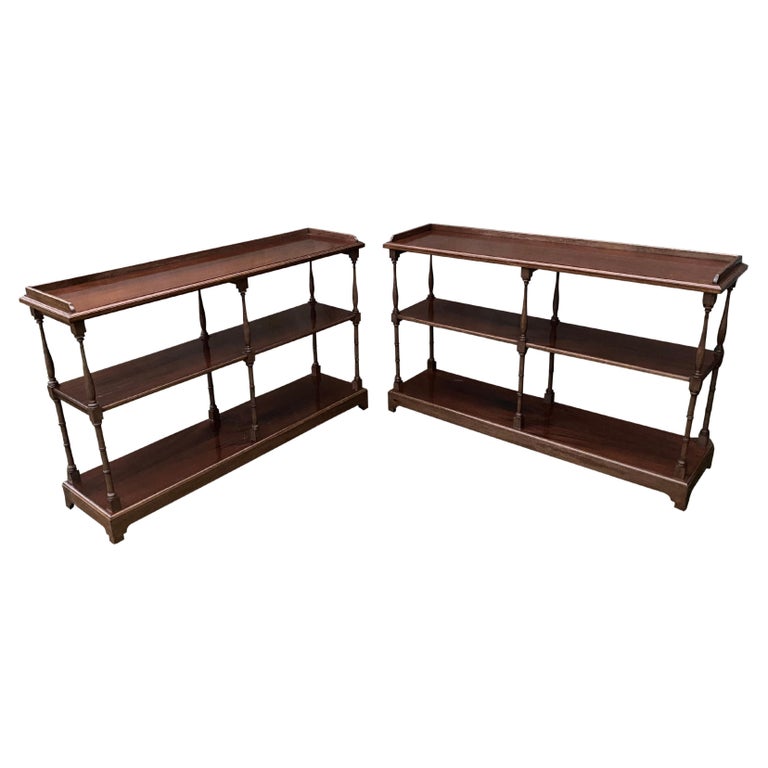 Pair of 19th Century Mahogany Display Stands or Shelves For Sale at 1stDibs