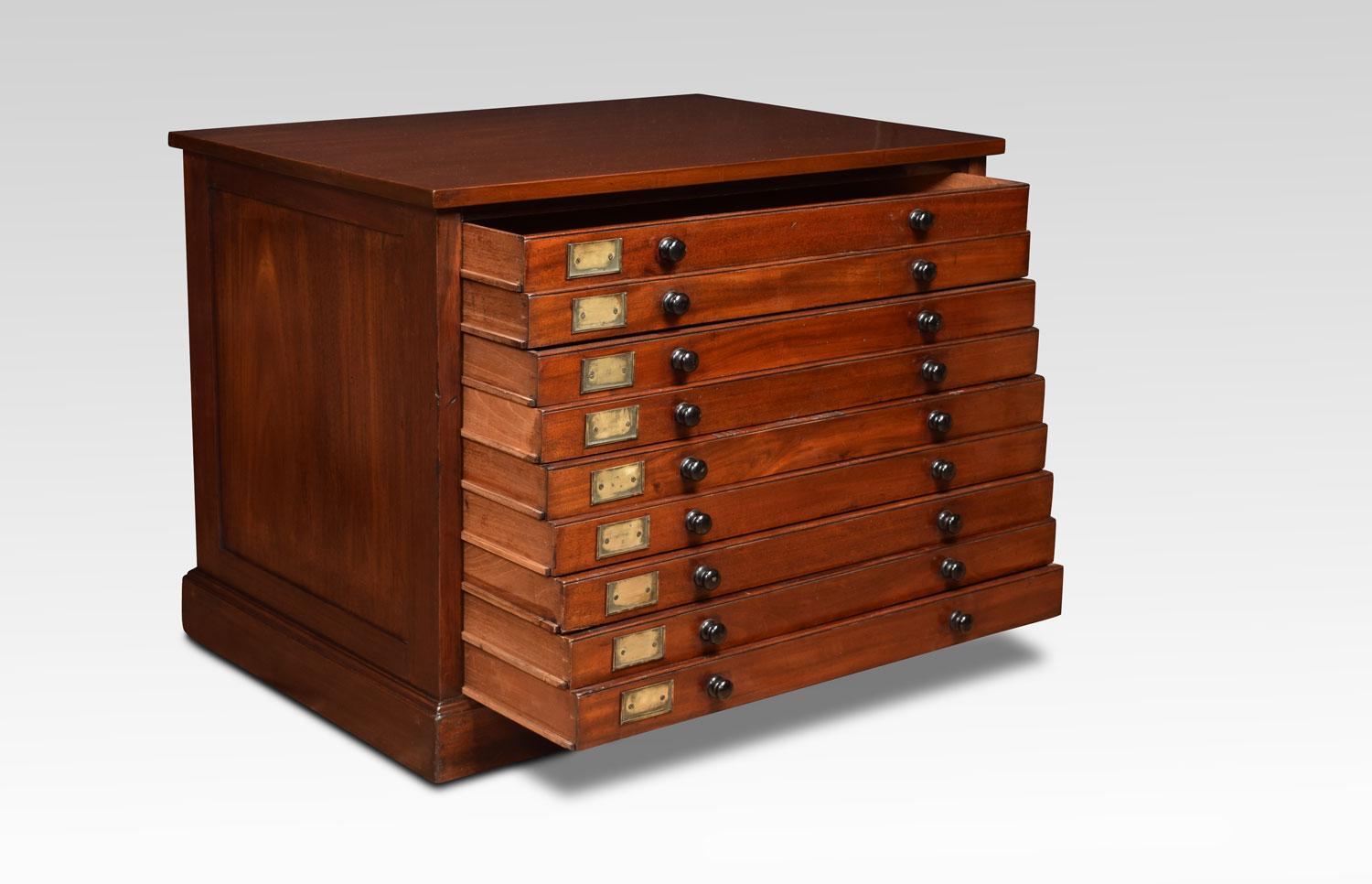 Exceptional pair of 19th century specimen chests, having large rectangular mahogany top above nine drawers all fitted with knob handles and card holders made of brass. The chests having polished sides and back. All raised up on plinth