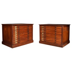 Pair of 19th Century Mahogany Specimen Chests