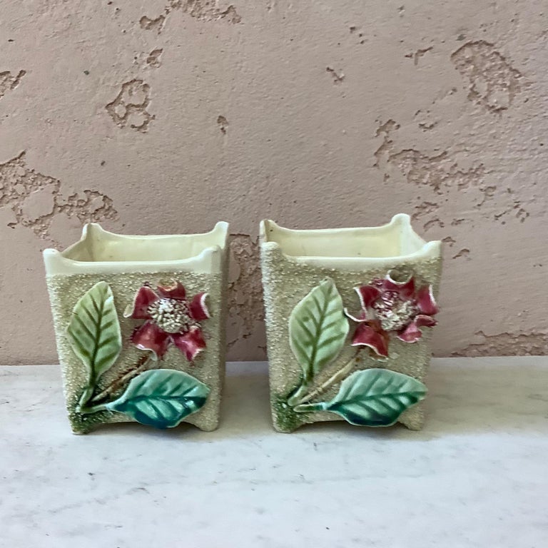19th century pair of French Majolica pink flowers jardinières.
Sand background.