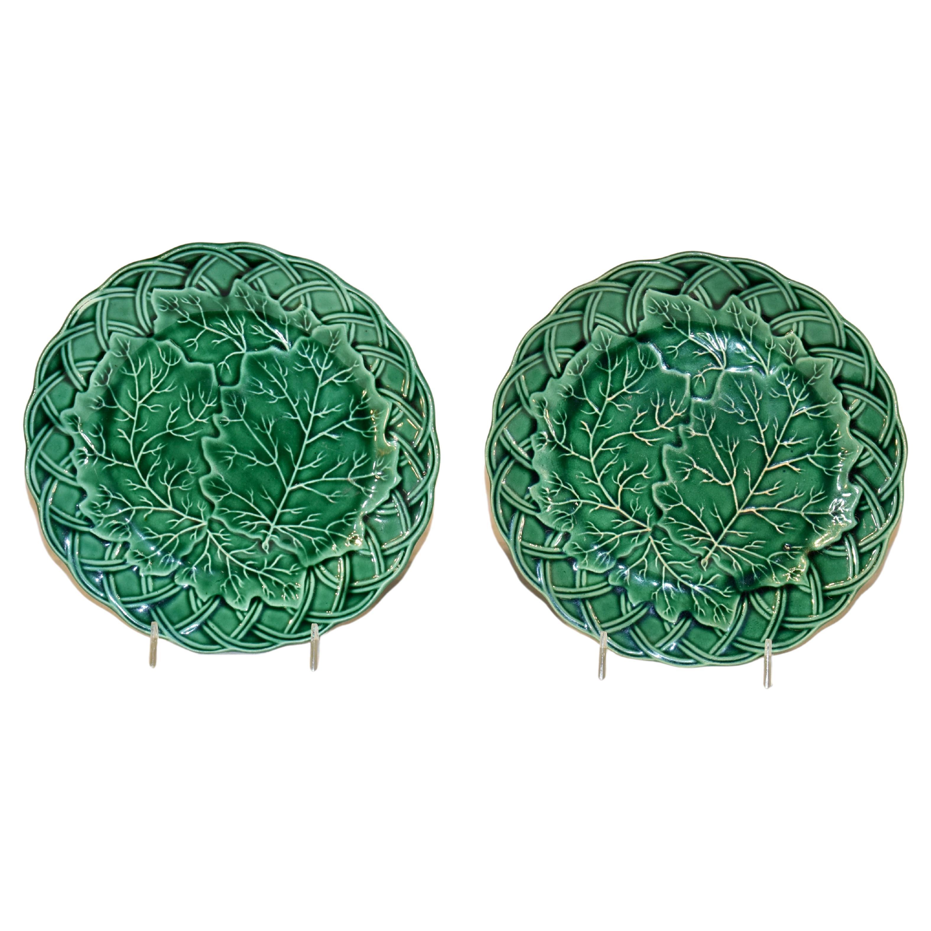 Pair of 19th Century Majolica Plates For Sale