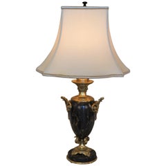Pair of 19th Century Marble and Bronze Table Lamps