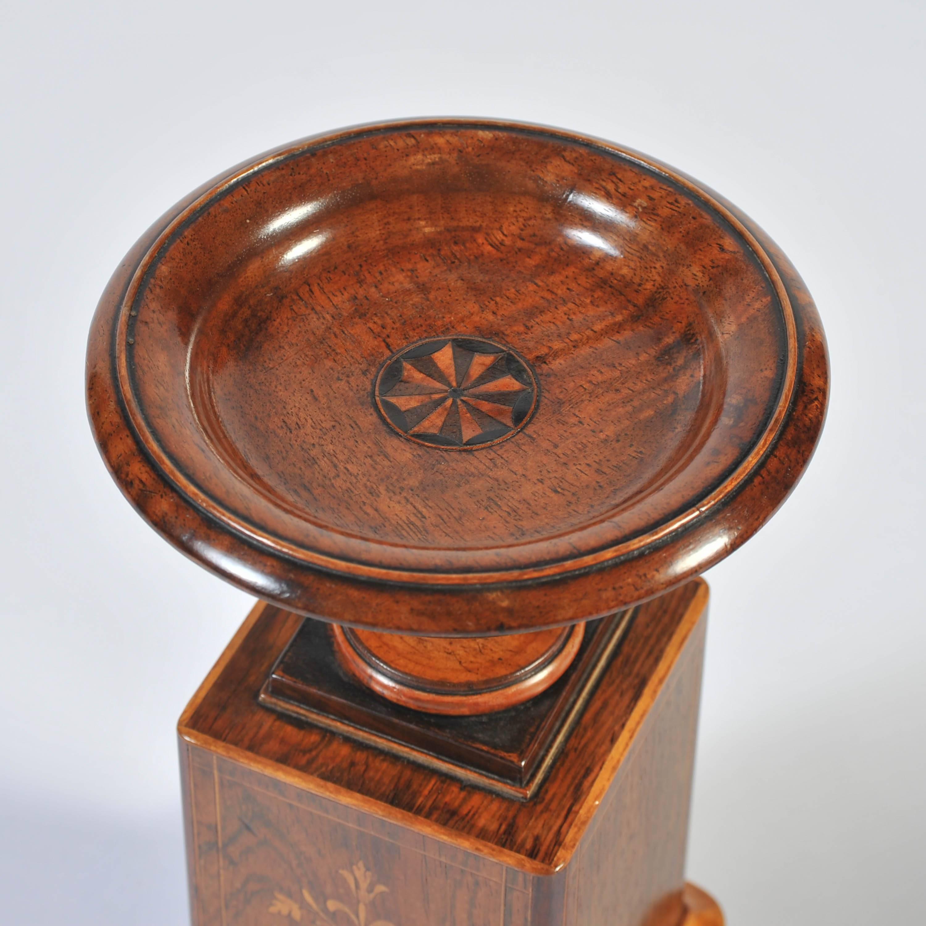 Pair of 19th Century Marquetry Tazza, in Rosewood, Walnut and Boxwood  1