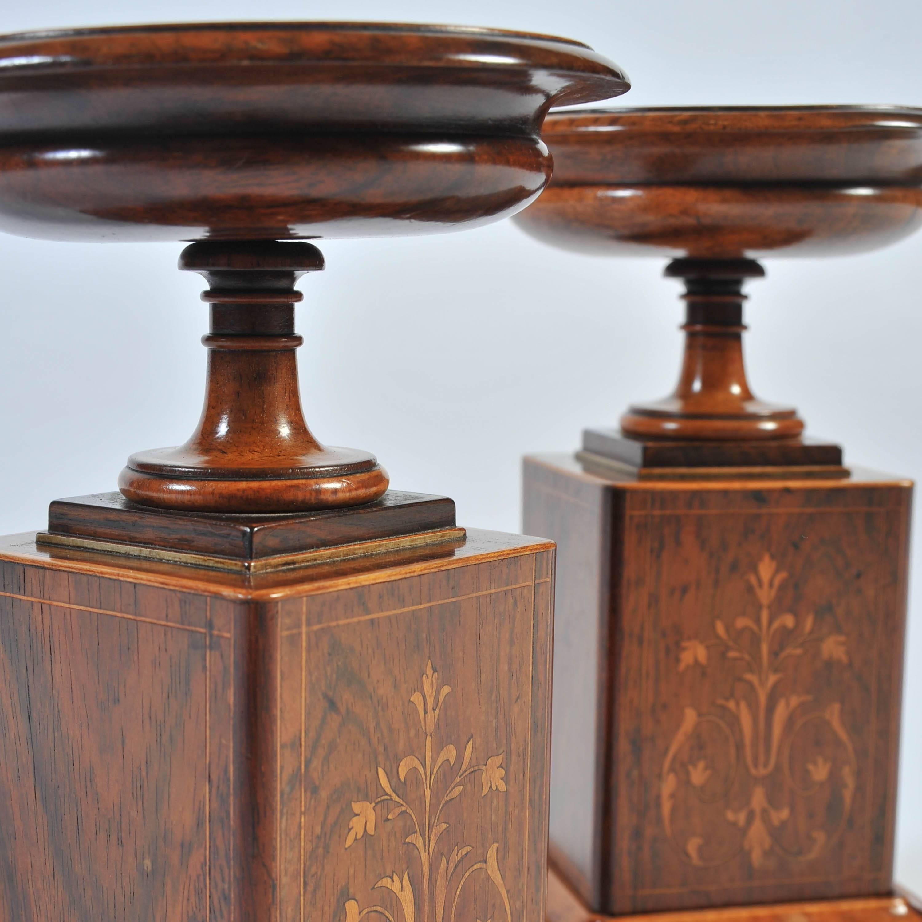 Pair of 19th Century Marquetry Tazza, in Rosewood, Walnut and Boxwood  2